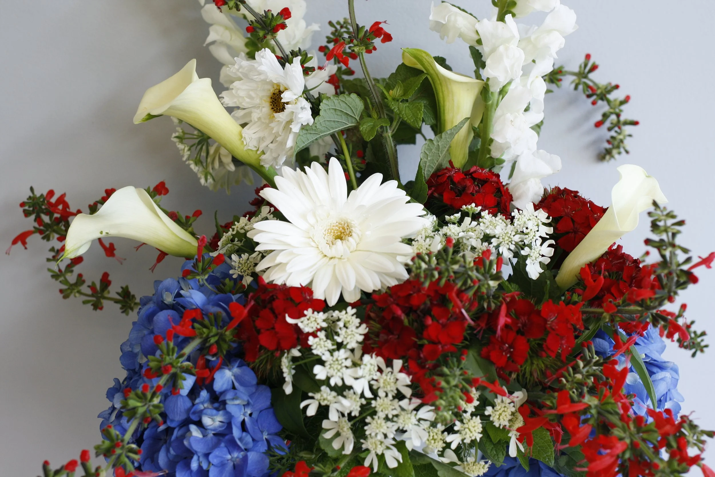 Happy 4th of July!