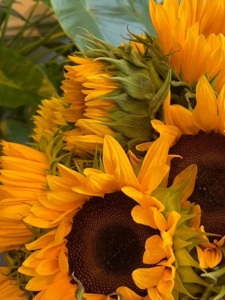 Endless summer vibes🌻✨
.
.
.
.
#sunflower #flowers #flowershop
