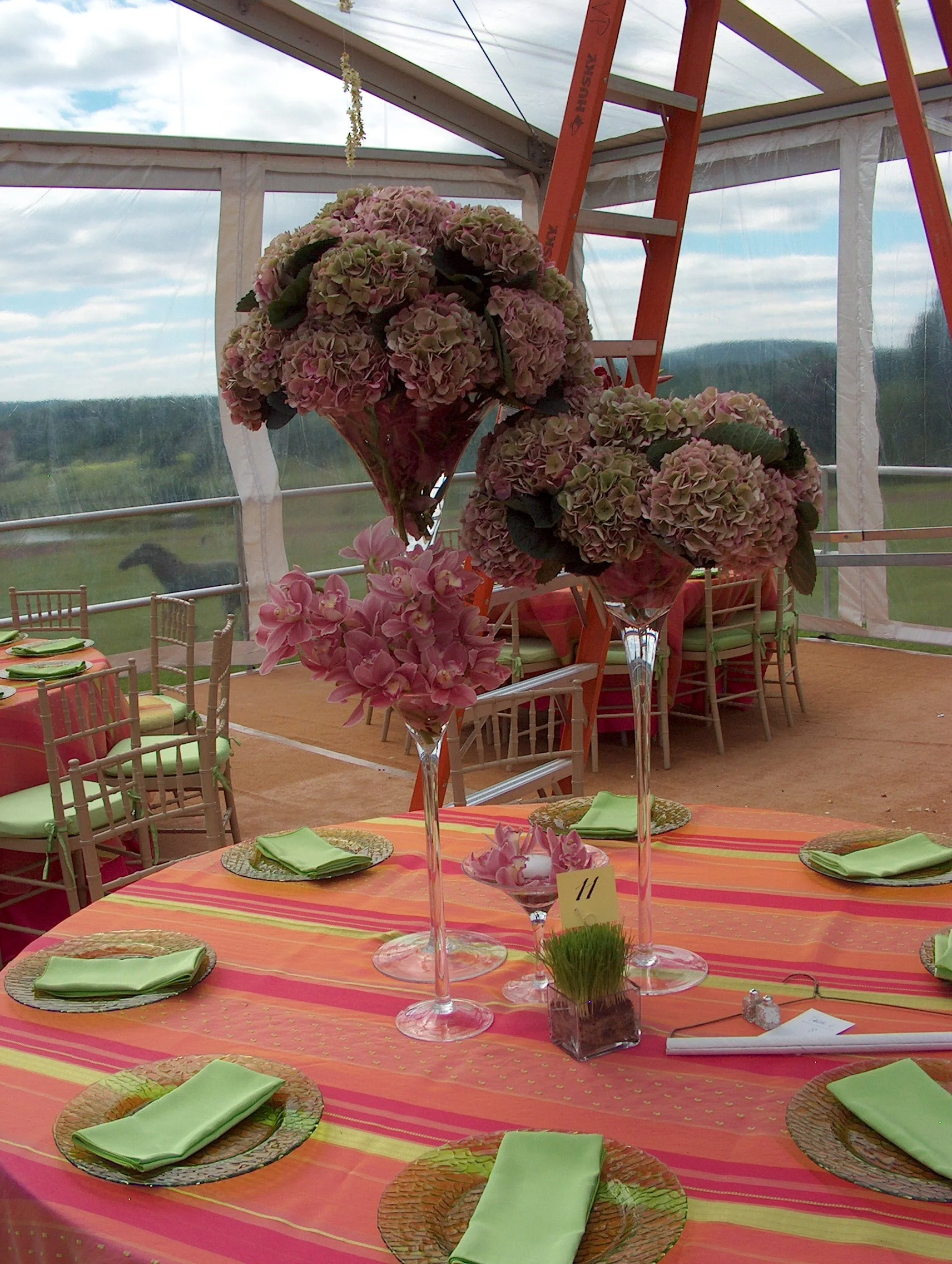 david wachs 80th birthday 037.jpg