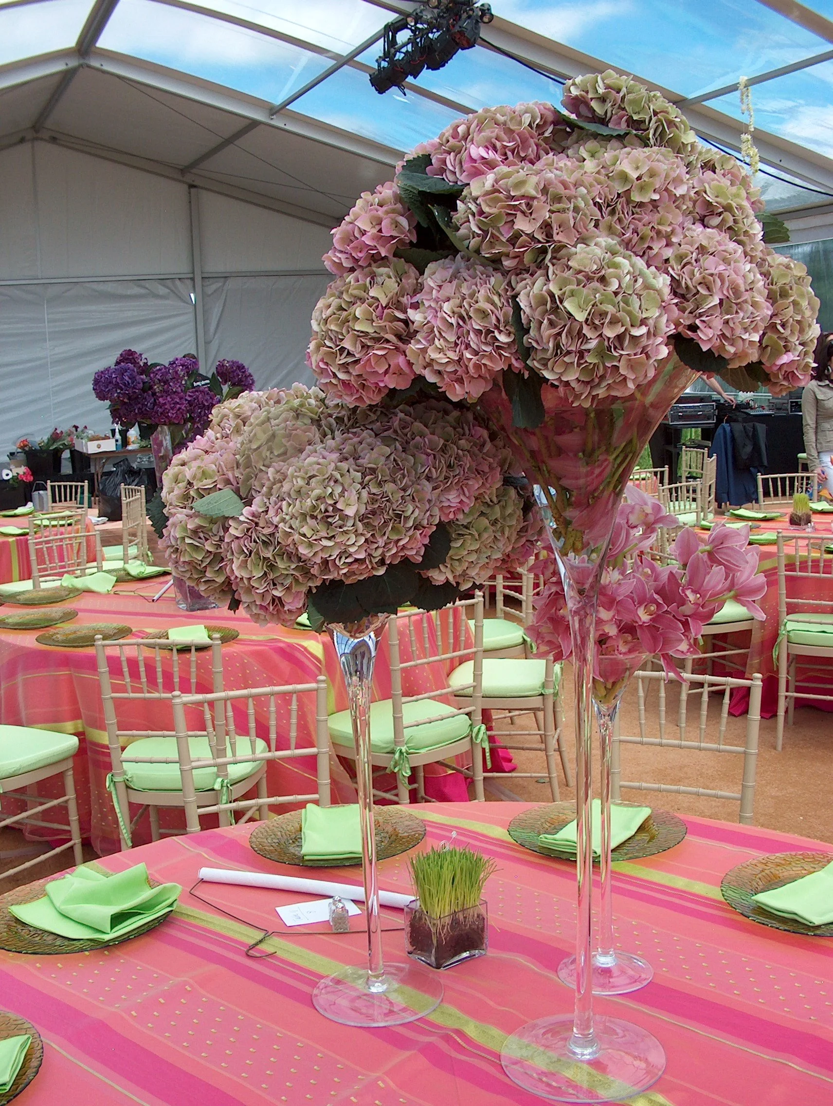 david wachs 80th birthday 009.jpg