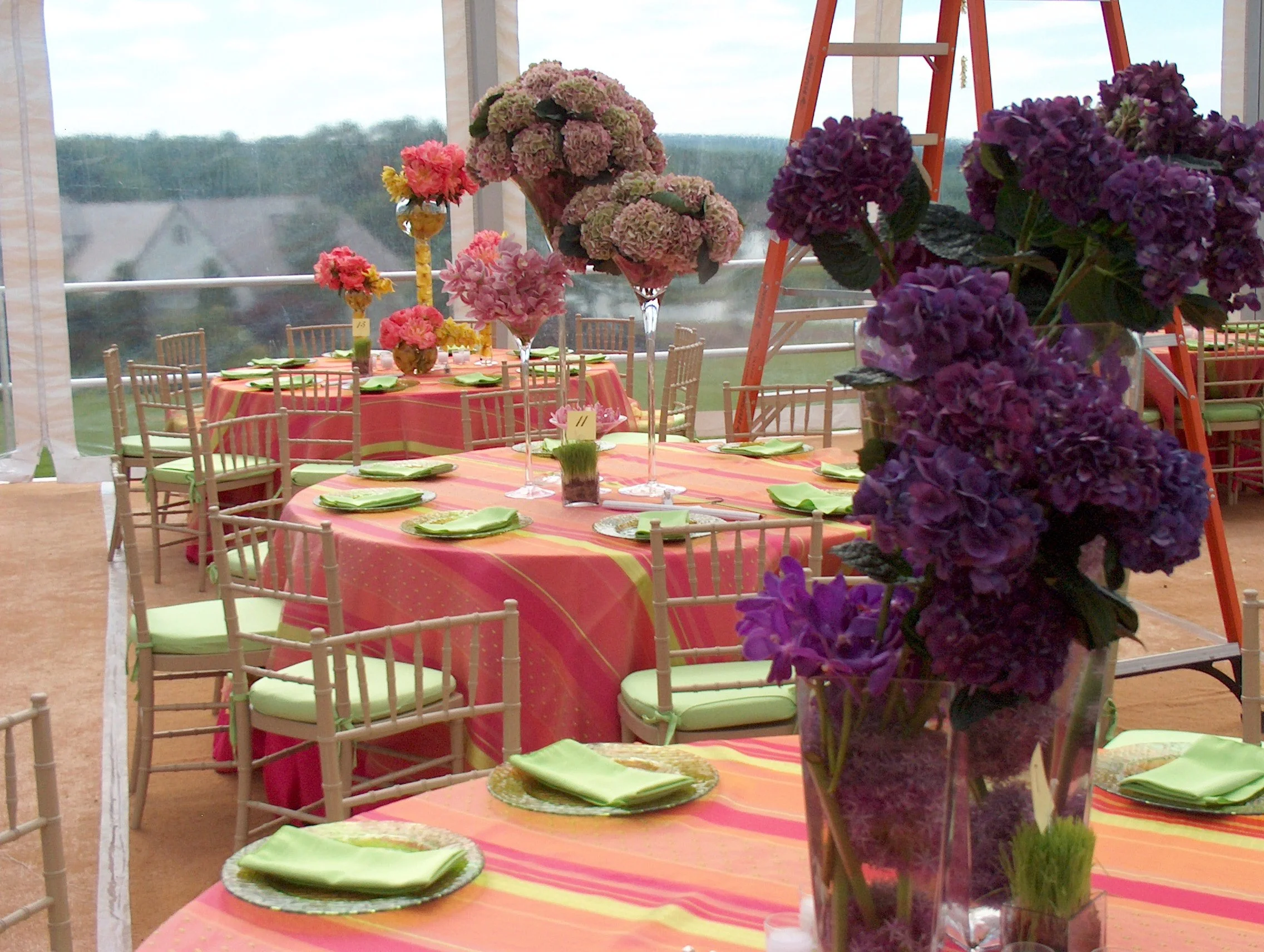 david wachs 80th birthday 100.jpg