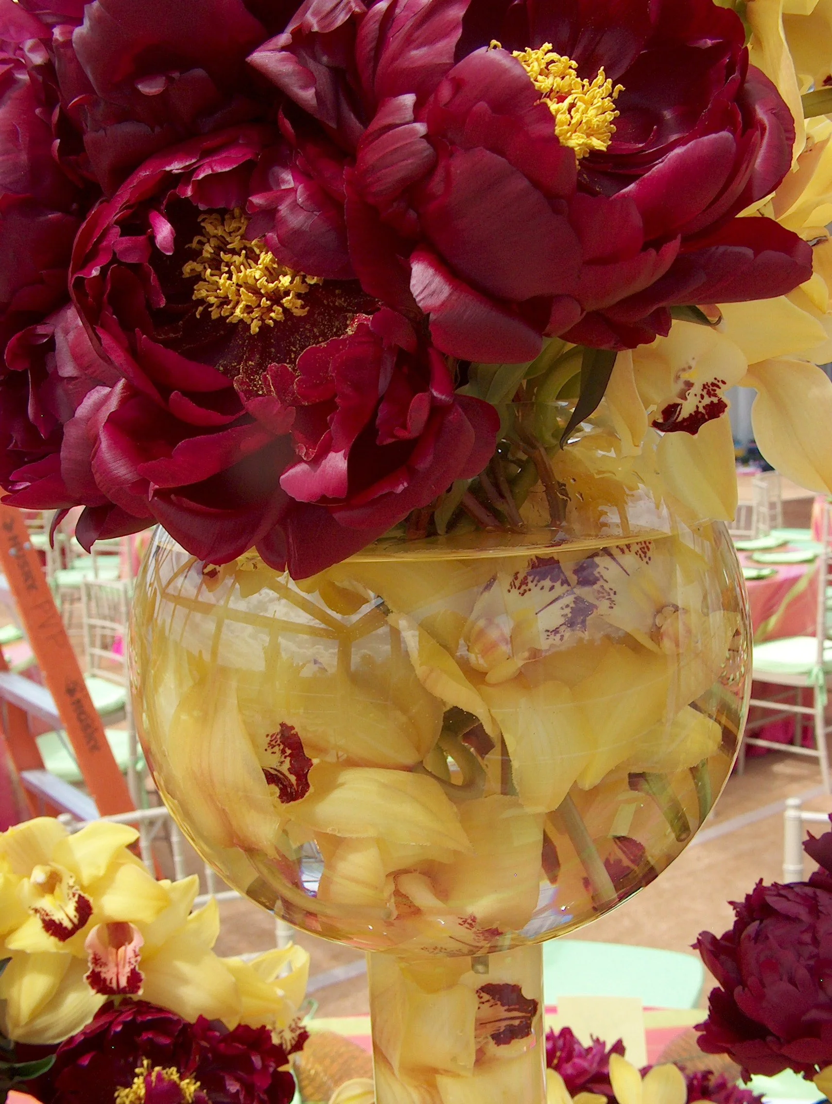 david wachs 80th birthday 020.jpg