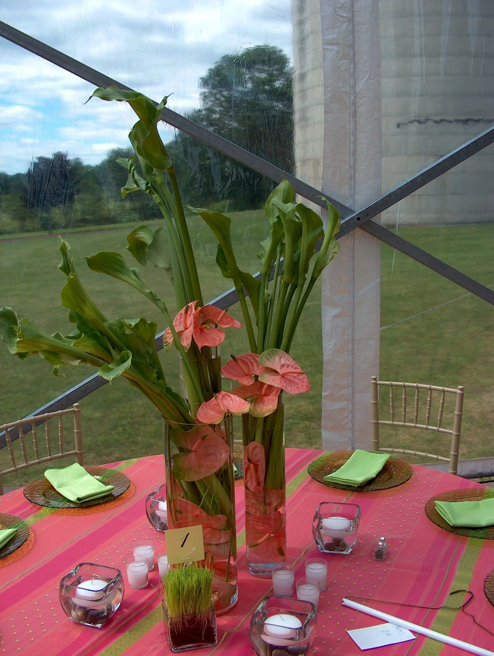 david wachs 80th birthday 002.jpg