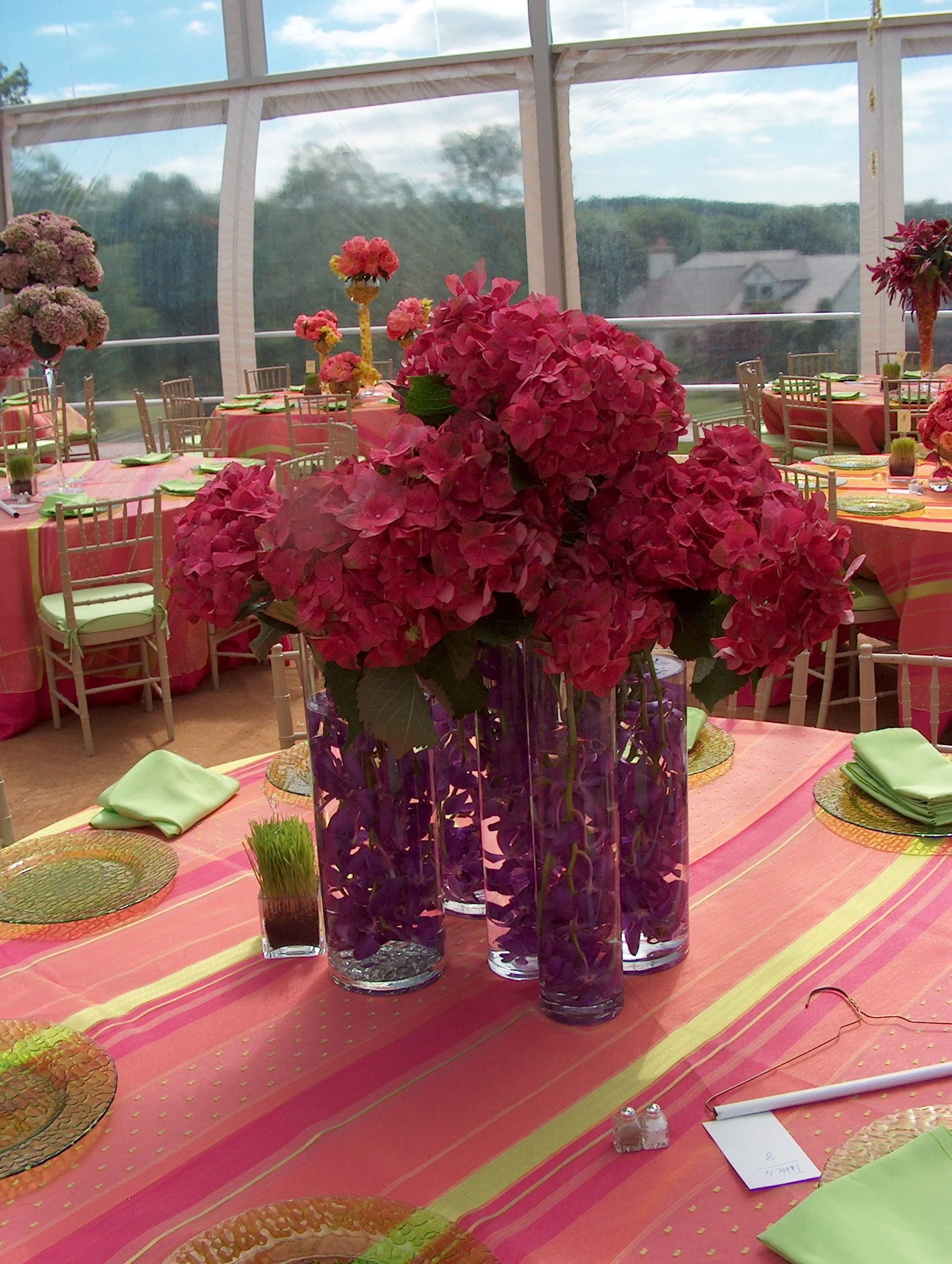 david wachs 80th birthday 004.jpg