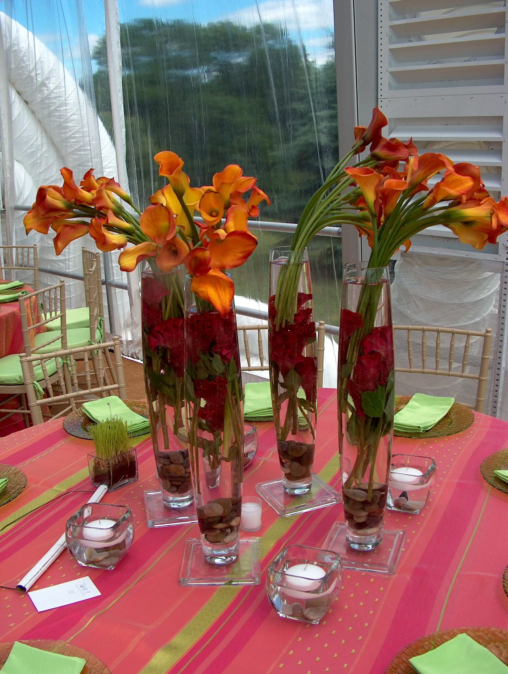 david wachs 80th birthday 022.jpg