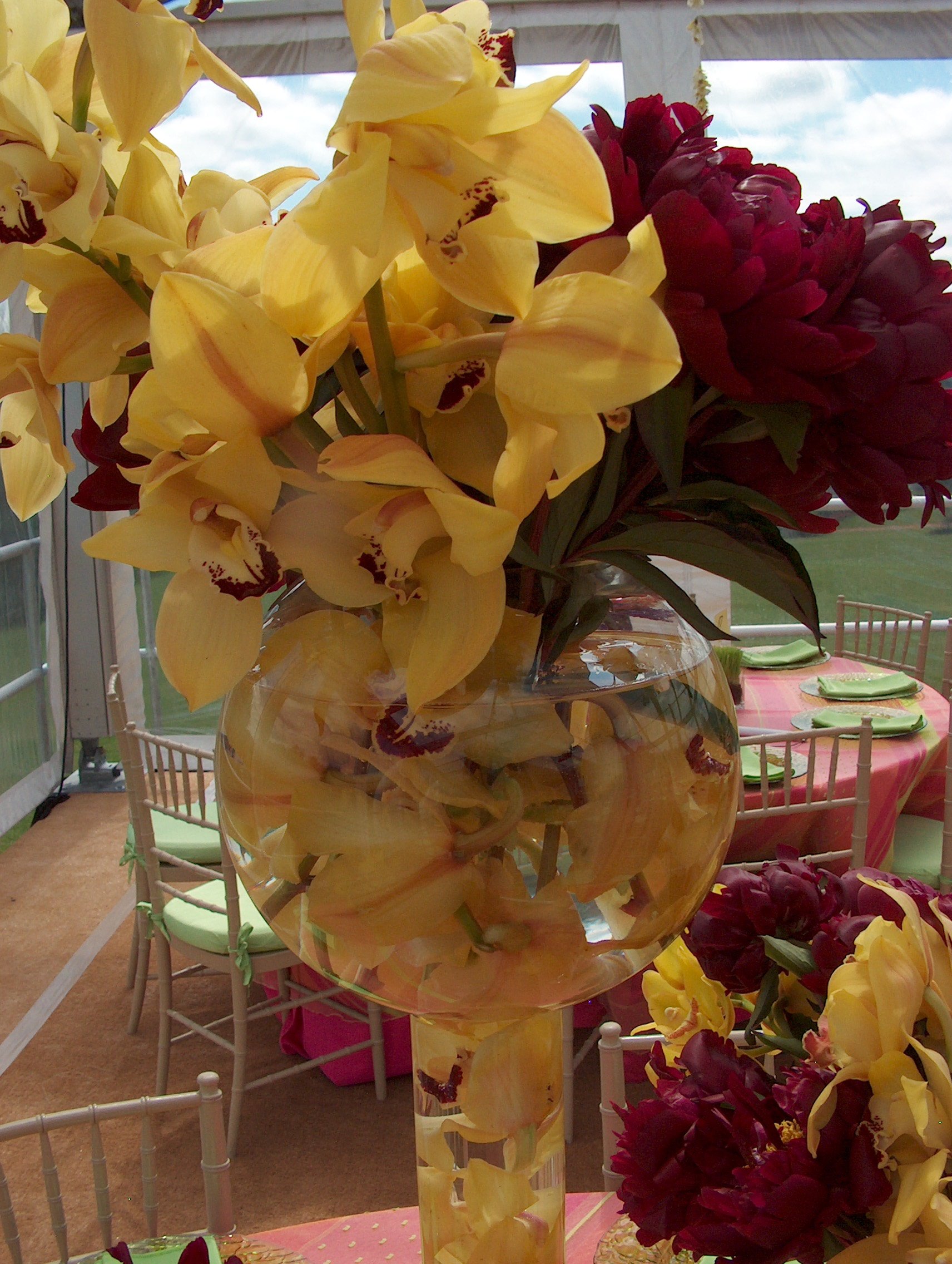 david wachs 80th birthday 021.jpg