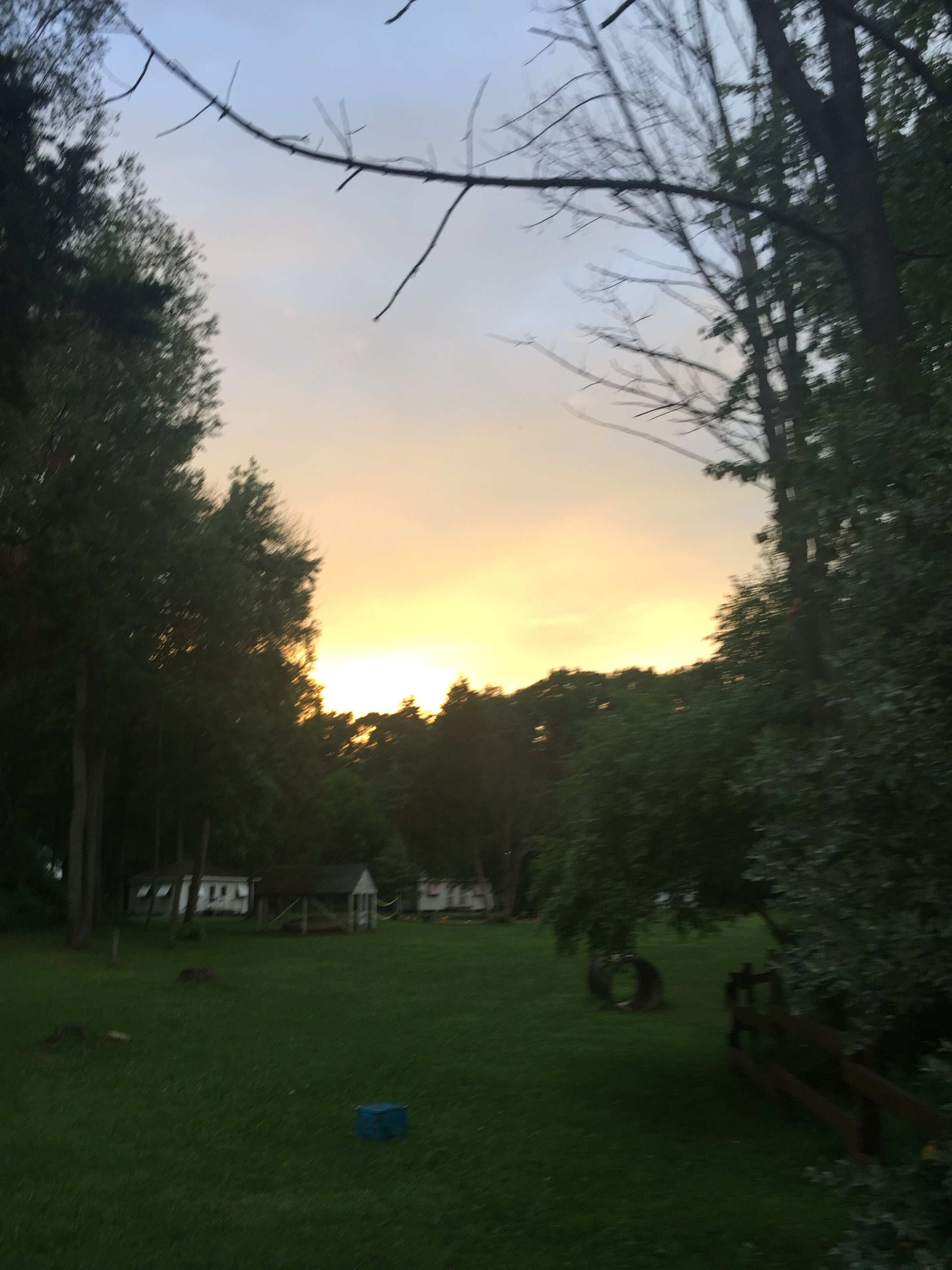 3AAC36FE-4449-4D28-8726-FCDF85E679A3.jpeg