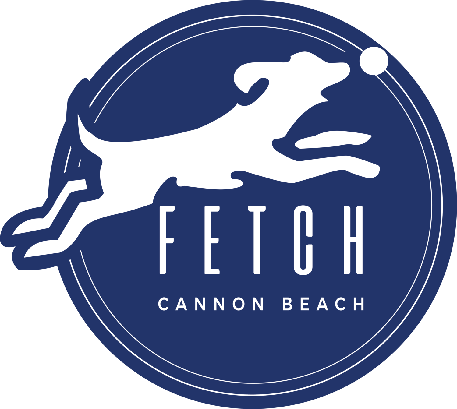 Fetch Cannon Beach