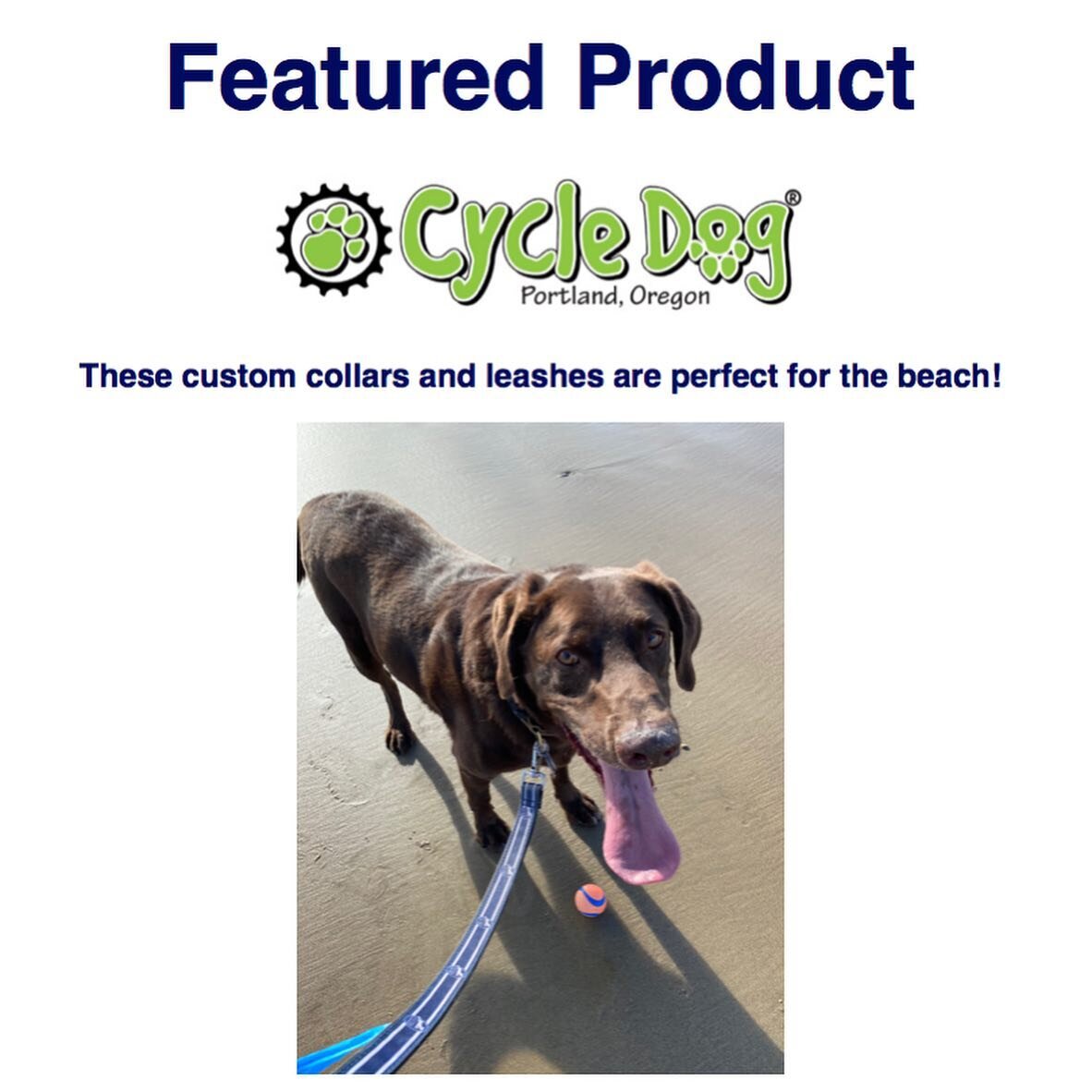 Our featured product of the month are our custom @cycledog collars and leashes!! These are PERFECT for the beach: they&rsquo;re waterproof AND have a built in bottle opener! What more could you ask for?