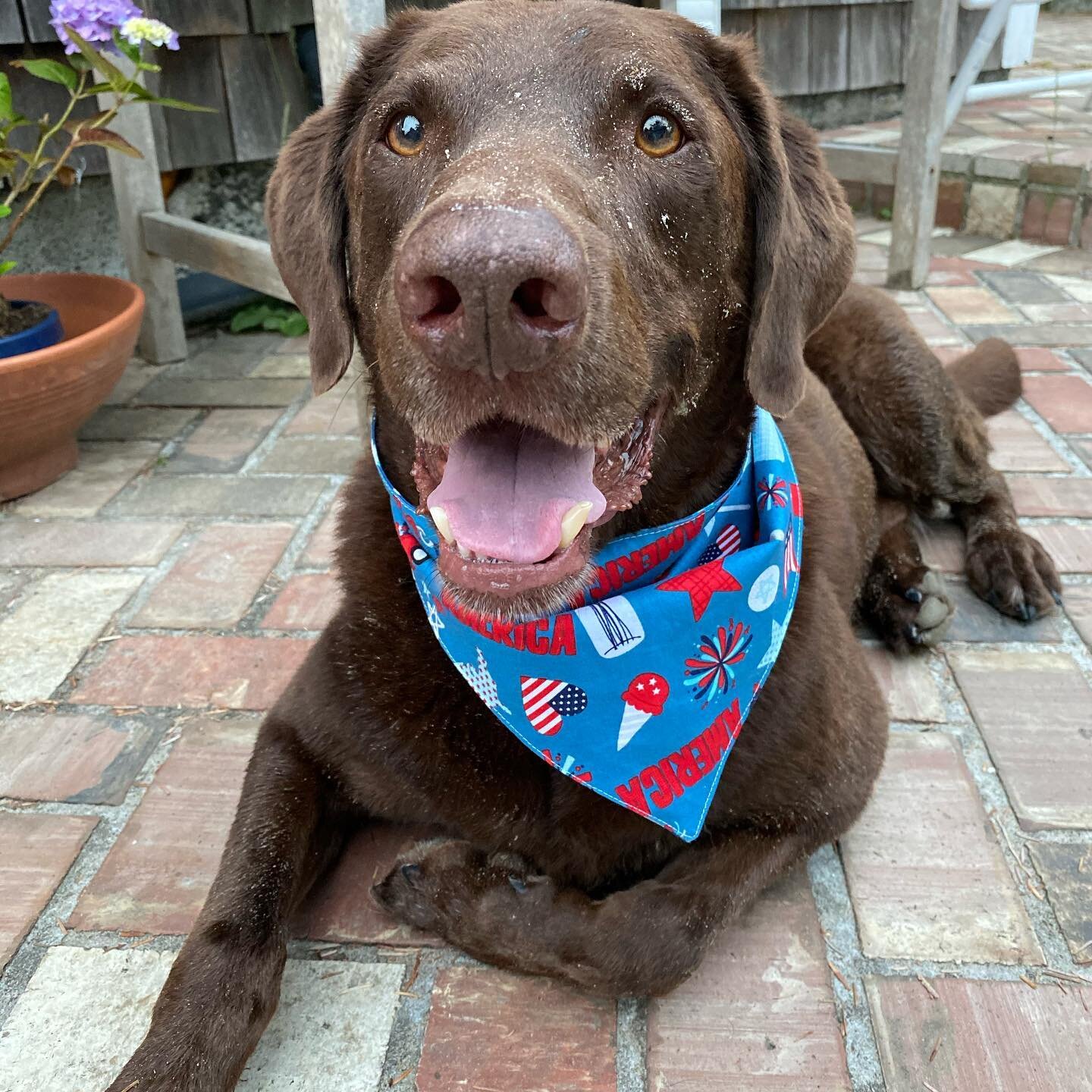 Happy Fourth of July!!!🇺🇸🇺🇸🇺🇸 Make sure to get your patriotic bandanas before they&rsquo;re gone!