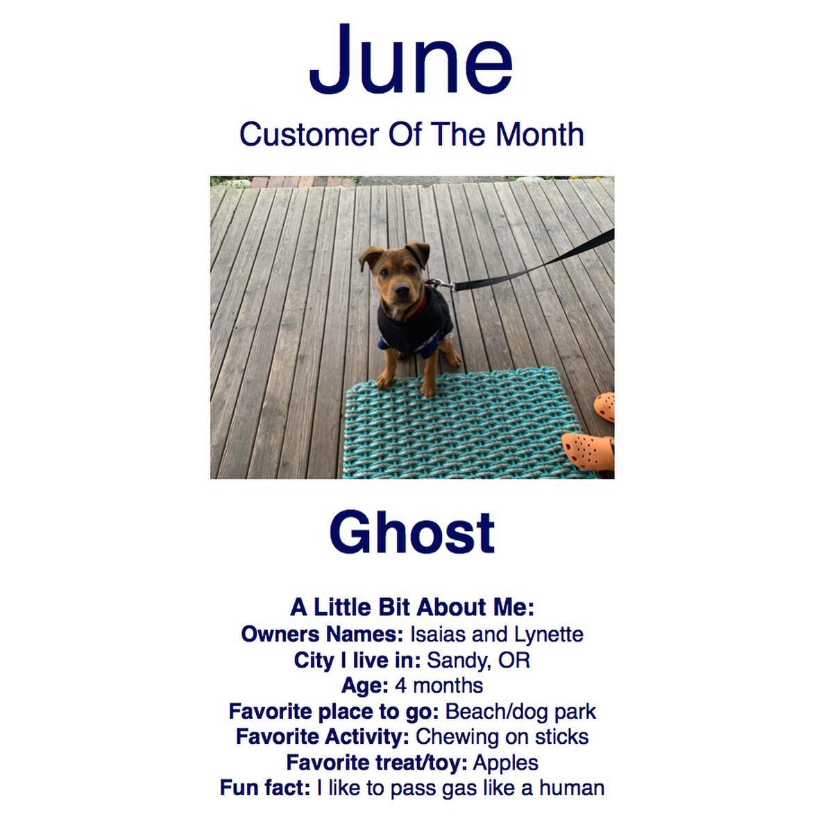 We&rsquo;ve been so busy getting ready for the summer we forgot to post the ADORABLE customer of the month for June! This picture is a couple months old so he&rsquo;s much bigger now and growing like a weed!
