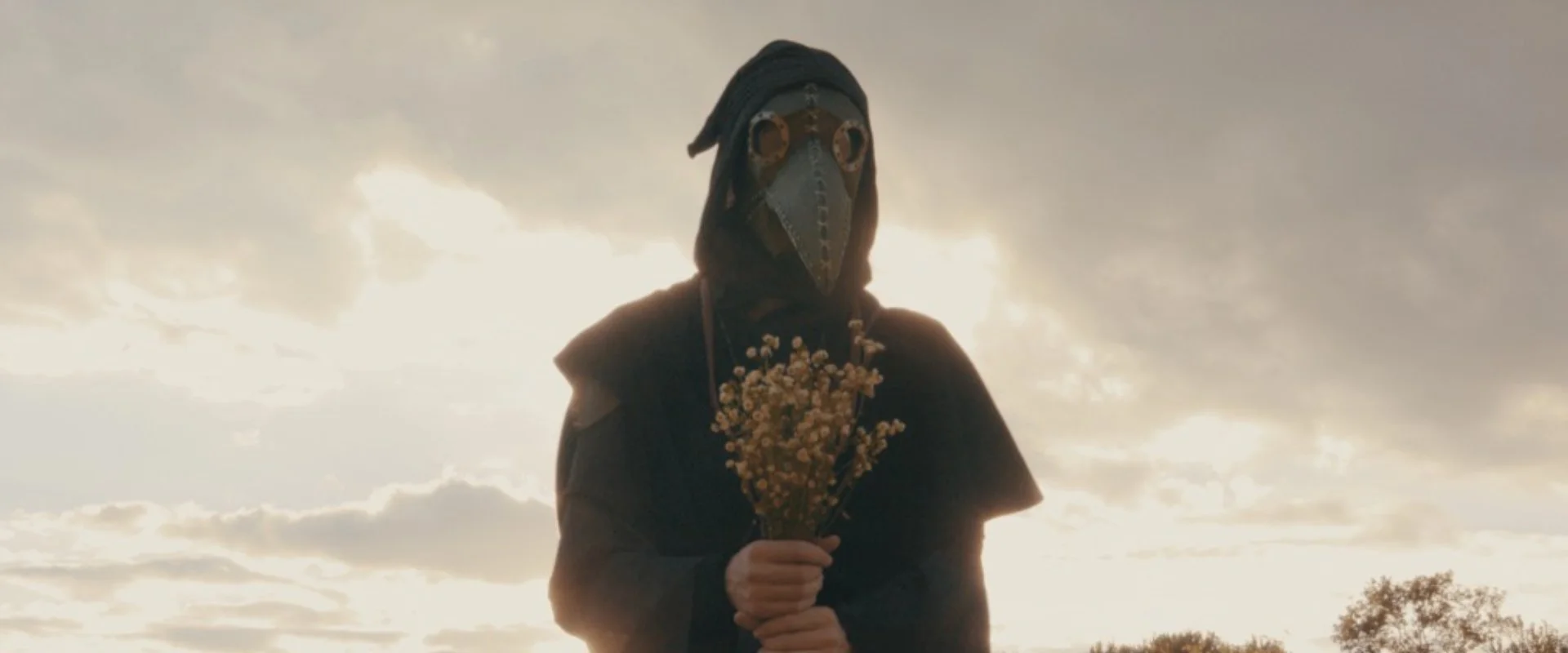 The Palest Posy