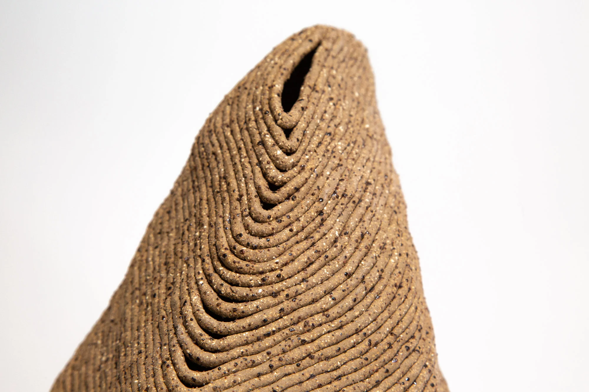Mali-Taylor_Anachron-iv_-close-up.jpg