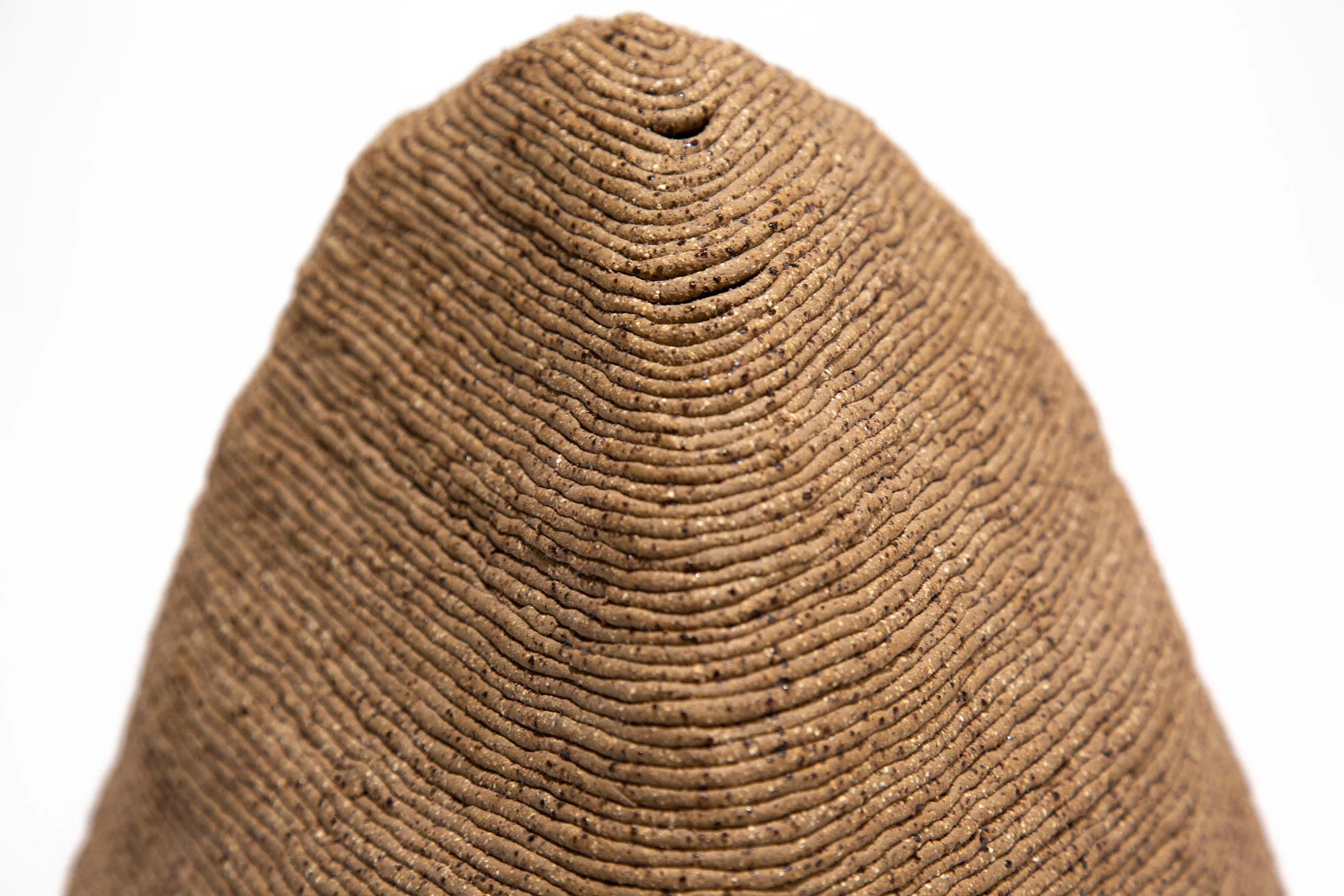 Anachron, 2019