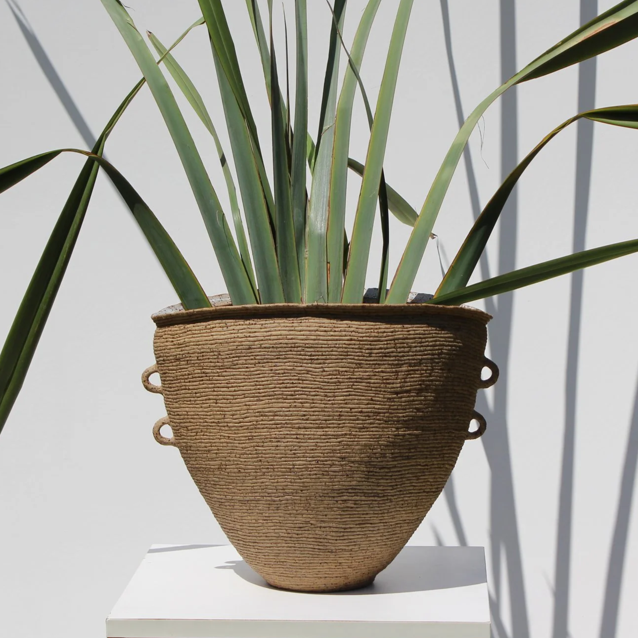 Amphora Vessel