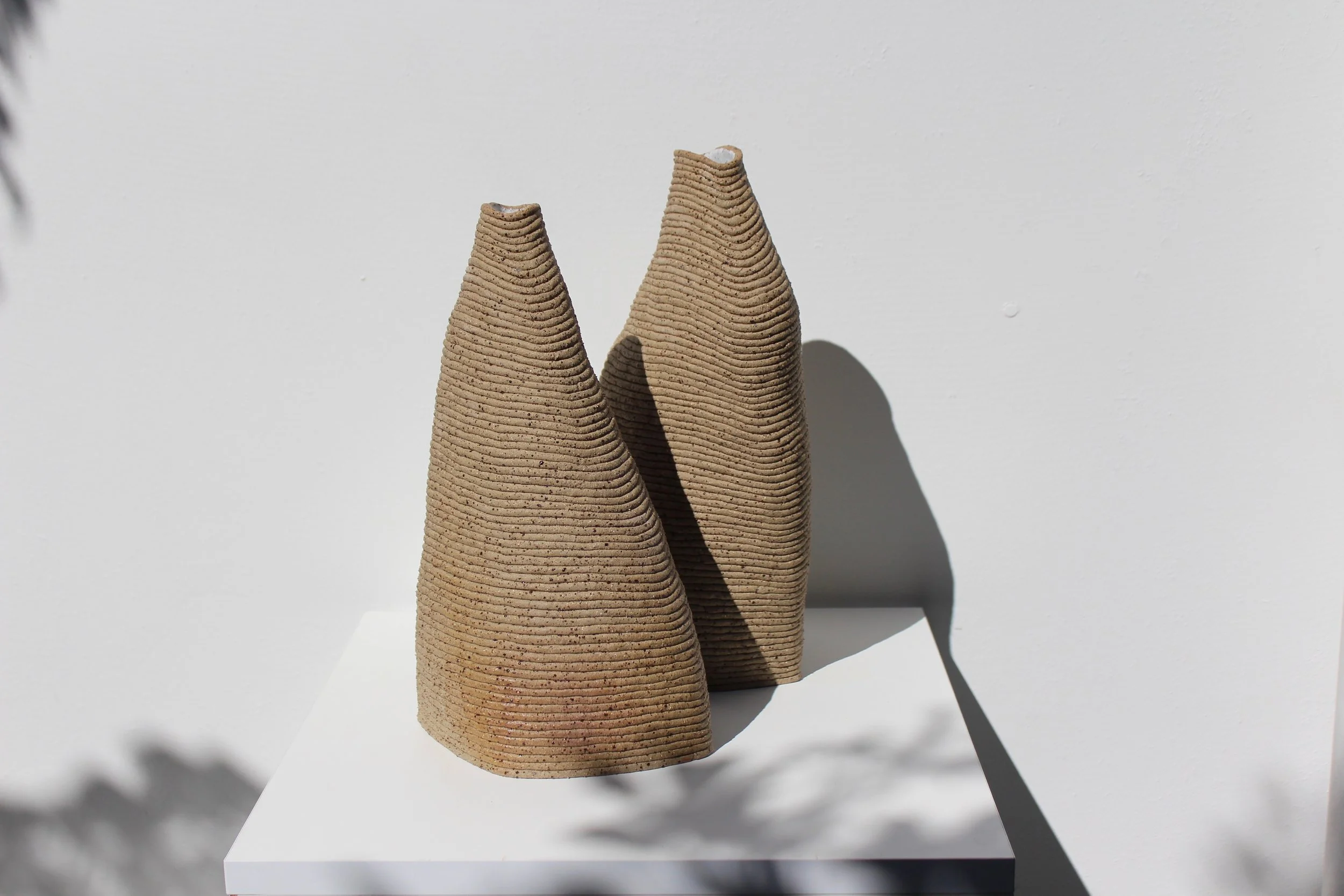 Companion Vases
