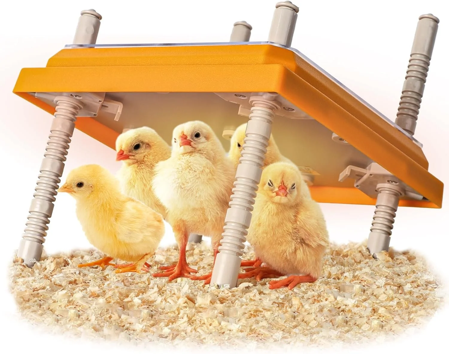 Brooder Heater 10" x 10" with Adjustable Height