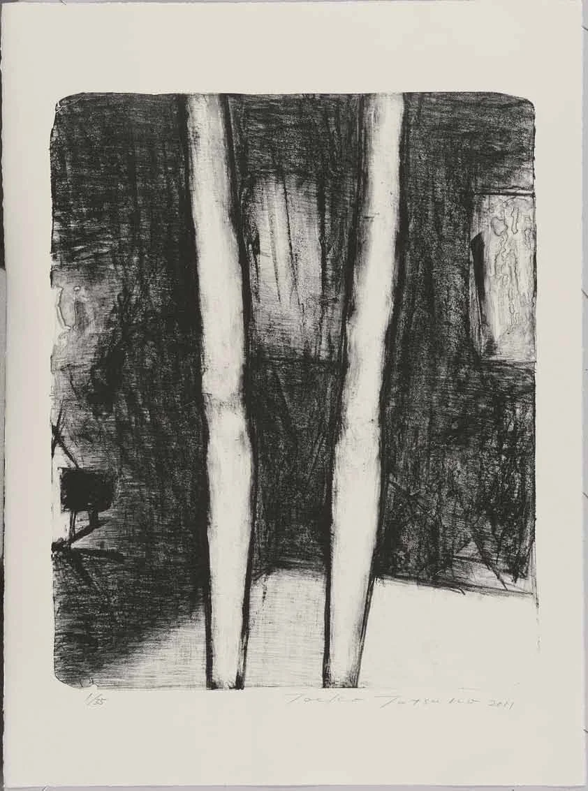 2011-P007　
AIWIP-7
2011　
lithograph on paper　 1/35
58.0×47.0（76.0×56.5）cm
版画工房IDEM［パリ］制作　作家