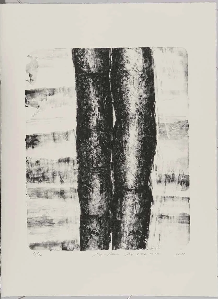 2011-P001　
AIWIP-1
2011　
lithograph on paper　1/30
53.0×43.0（76.0×56.5）cm
版画工房IDEM［パリ］制作　作家