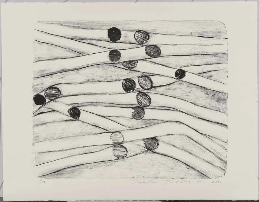 2011-P017　
AIWIP-17
2011　
lithograph on paper　 1/40
48.0×59.0（60.0×77.0）cm
版画工房IDEM［パリ］制作　作家