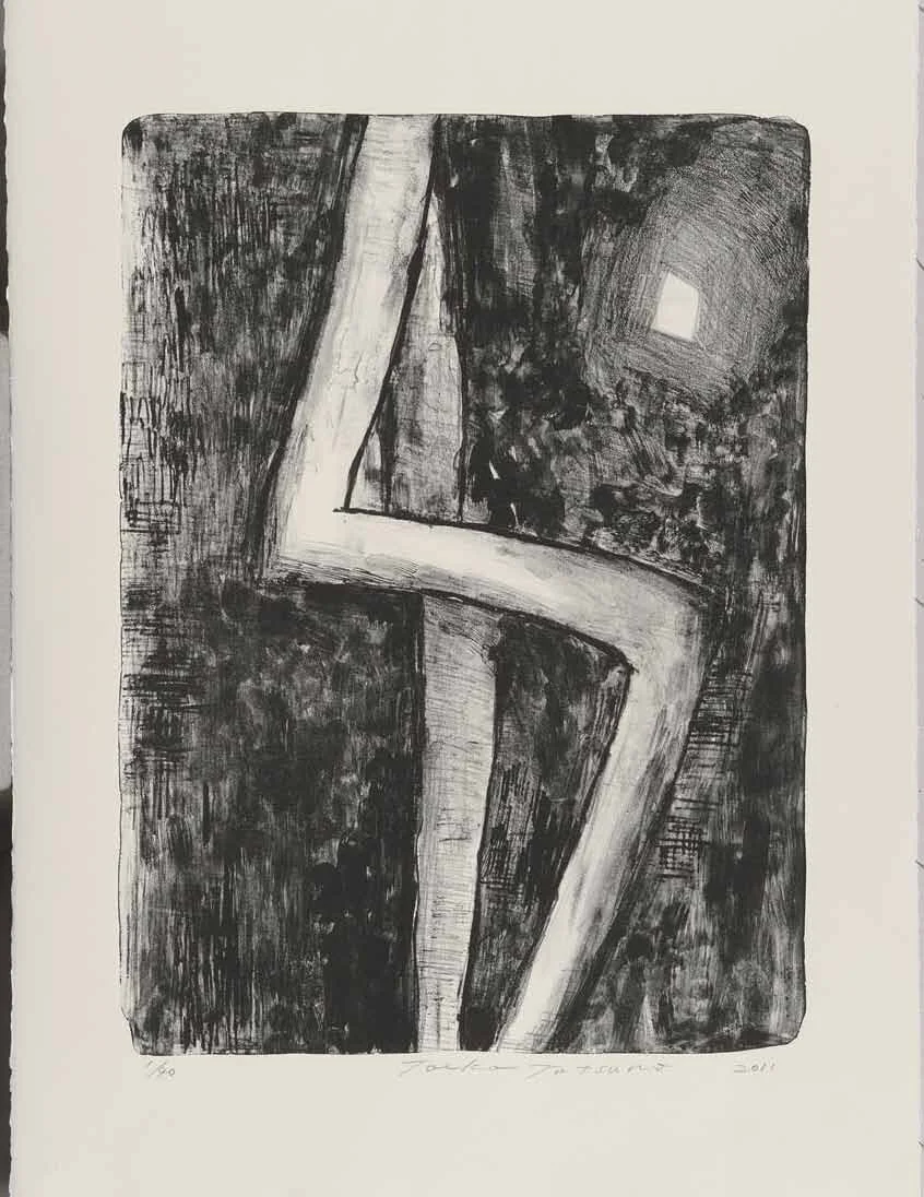 2011-P002　
AIWIP-2
2011　
lithograph on paper　 1/40
58.5×43.0（76.0×65.5）cm
版画工房IDEM［パリ］制作　作家