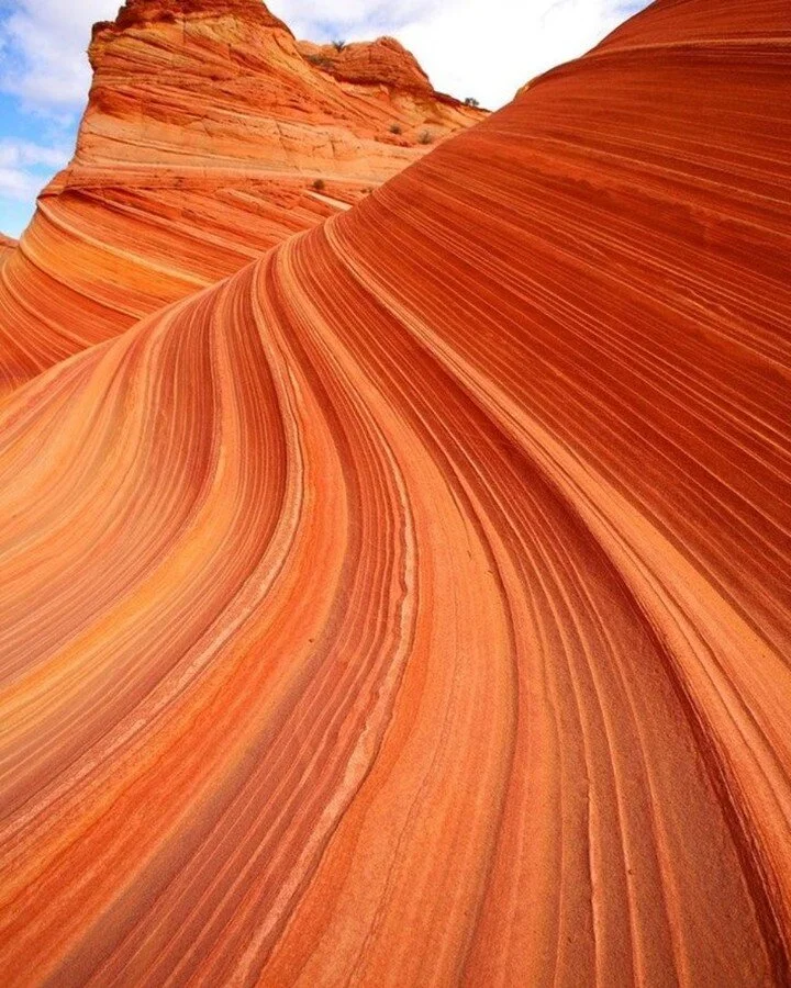 North Coyote Buttes, Arizona 🔶

#travel #travelgram #travelinspo #adventure #dailytravel #travelporn #colorpalette #colourlover #colorinspiration #designinspo #create #dailyinspiration #minimalist #orange #arizona #coyotebuttes #wildwest #landscapel