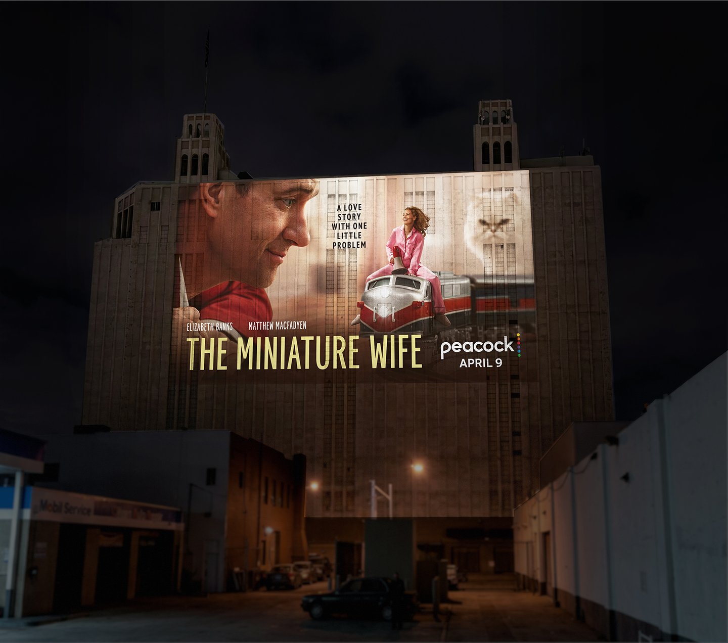 MINIWIFE_IronMountain_Projection_f.jpg