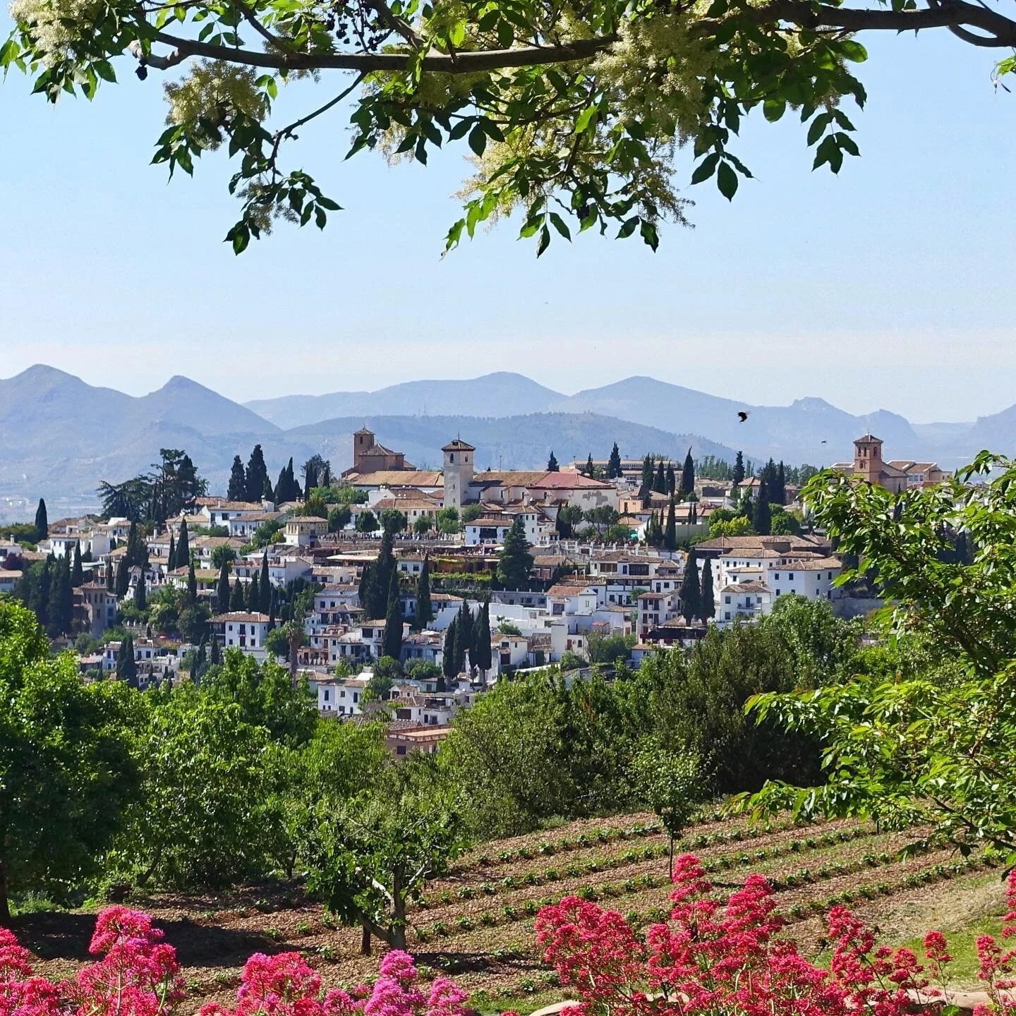 To an Arab, language is not only a means of communication but also a source of pride. Since pre-Islamic times Arabs were obsessed with their language, and with obsession came creation. Arabs are renowned for their love of poetry. This love affair car