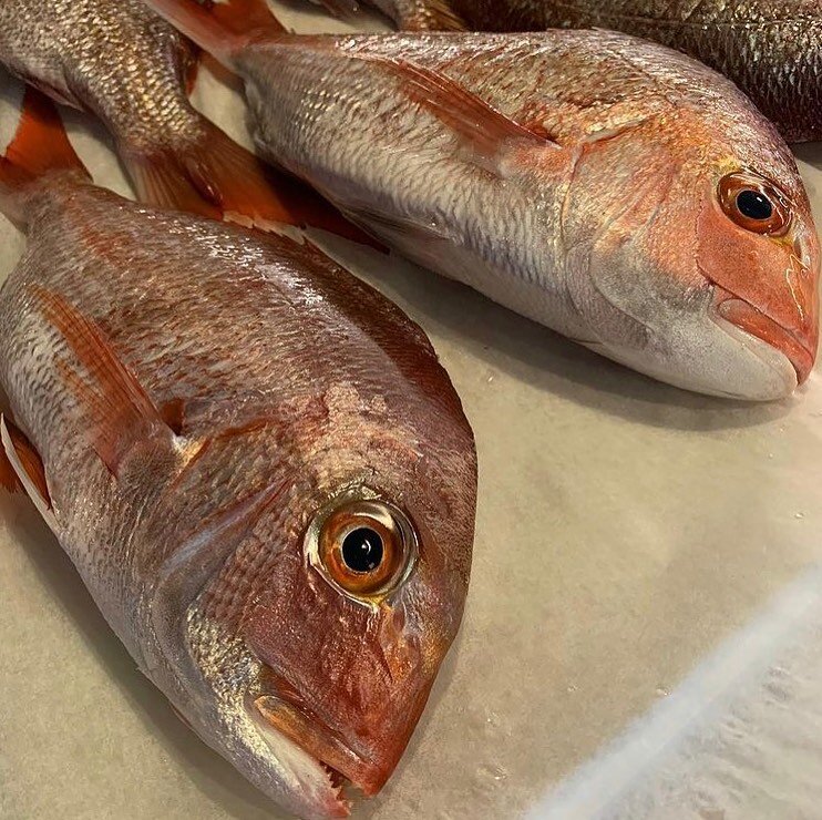 🎶 Fish heads fish heads,
Roly poly fish heads,
Fish heads fish heads,
Eat them up yum 🎶

#chefinthehouseto #cheflife #fish #letseat #food #foodphotography #toronto #toeats #torontofood