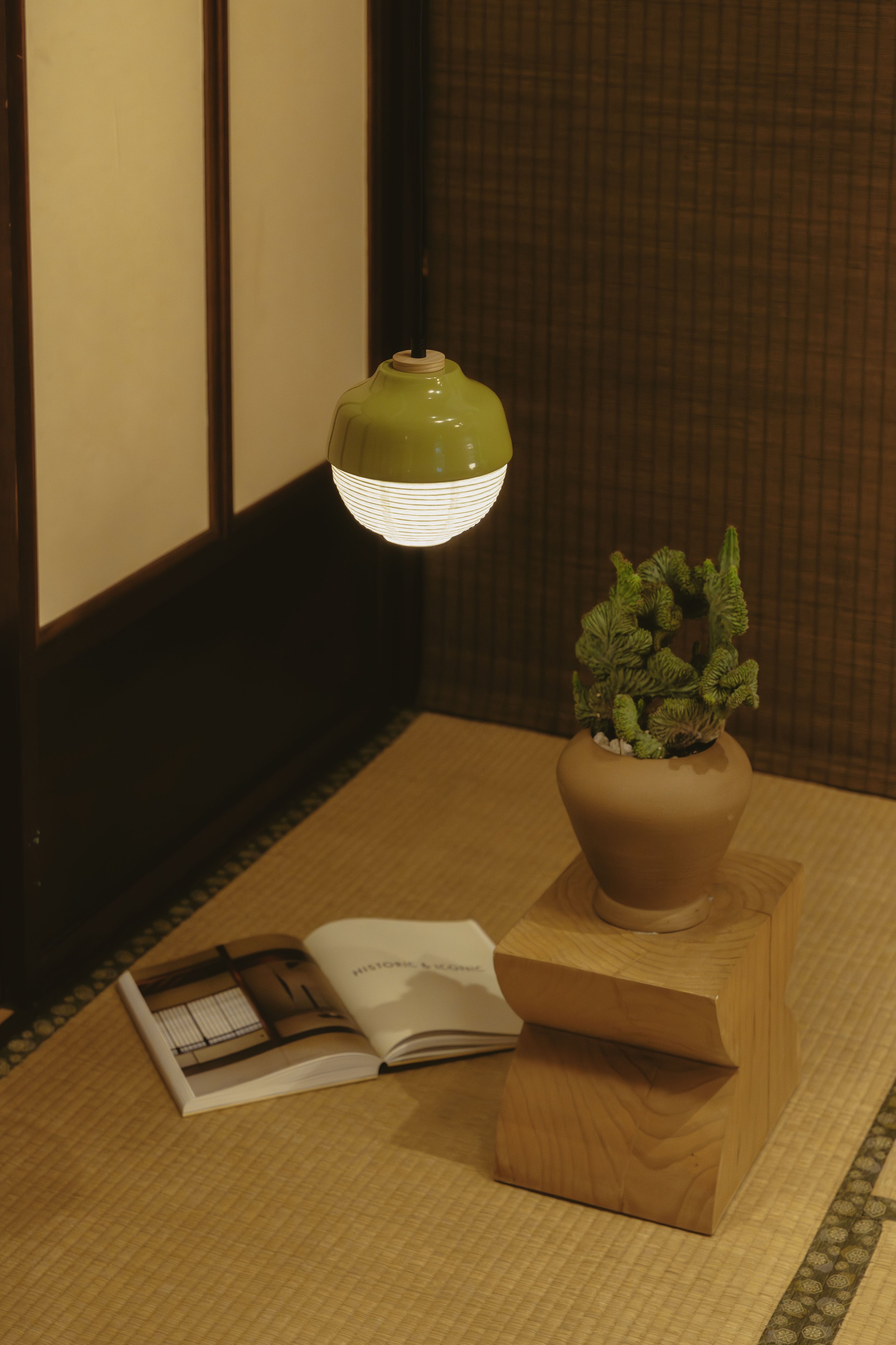 The New Old Light Bonsai