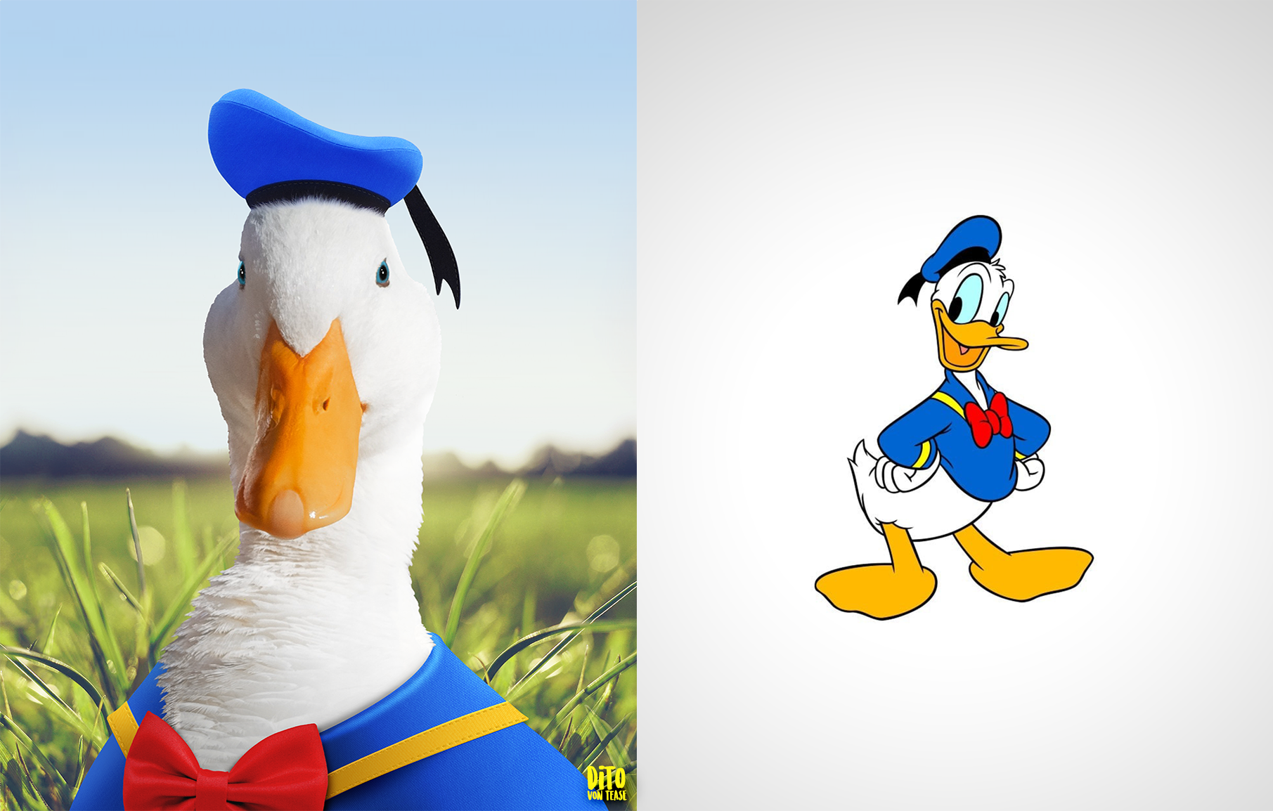 1-donald duck.png