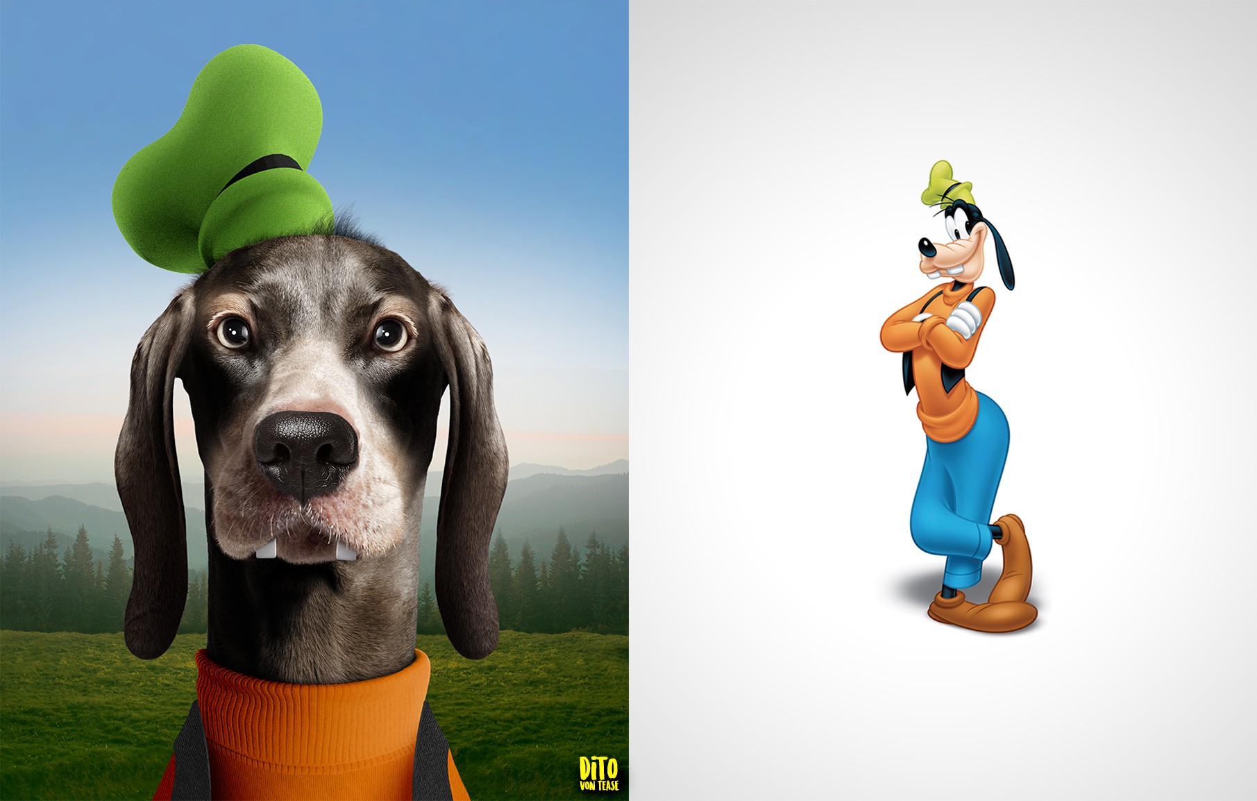 5-goofy.png