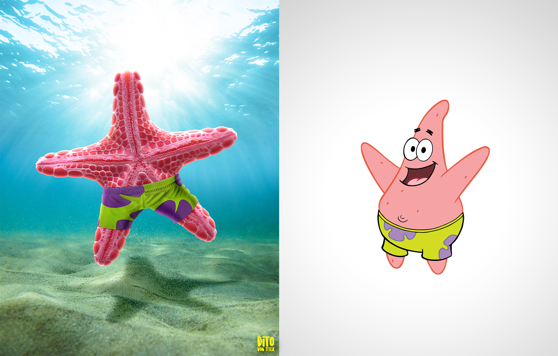 8-patrick the star.png