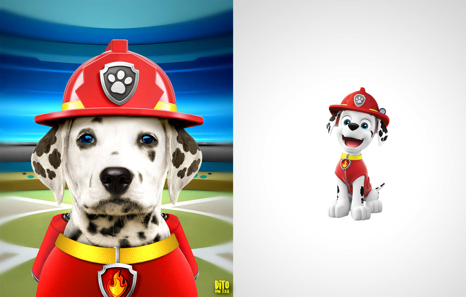 24 - paw patrol.png