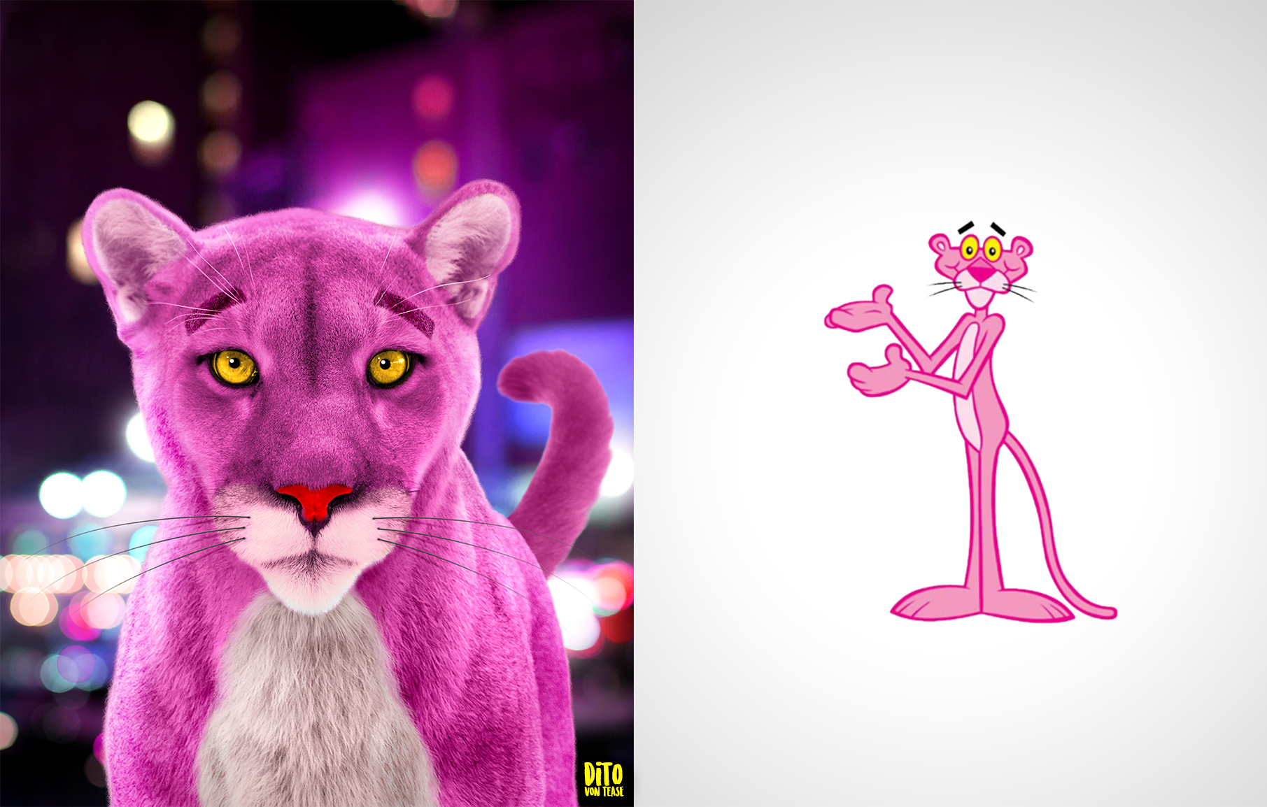 26 - pink panther.png