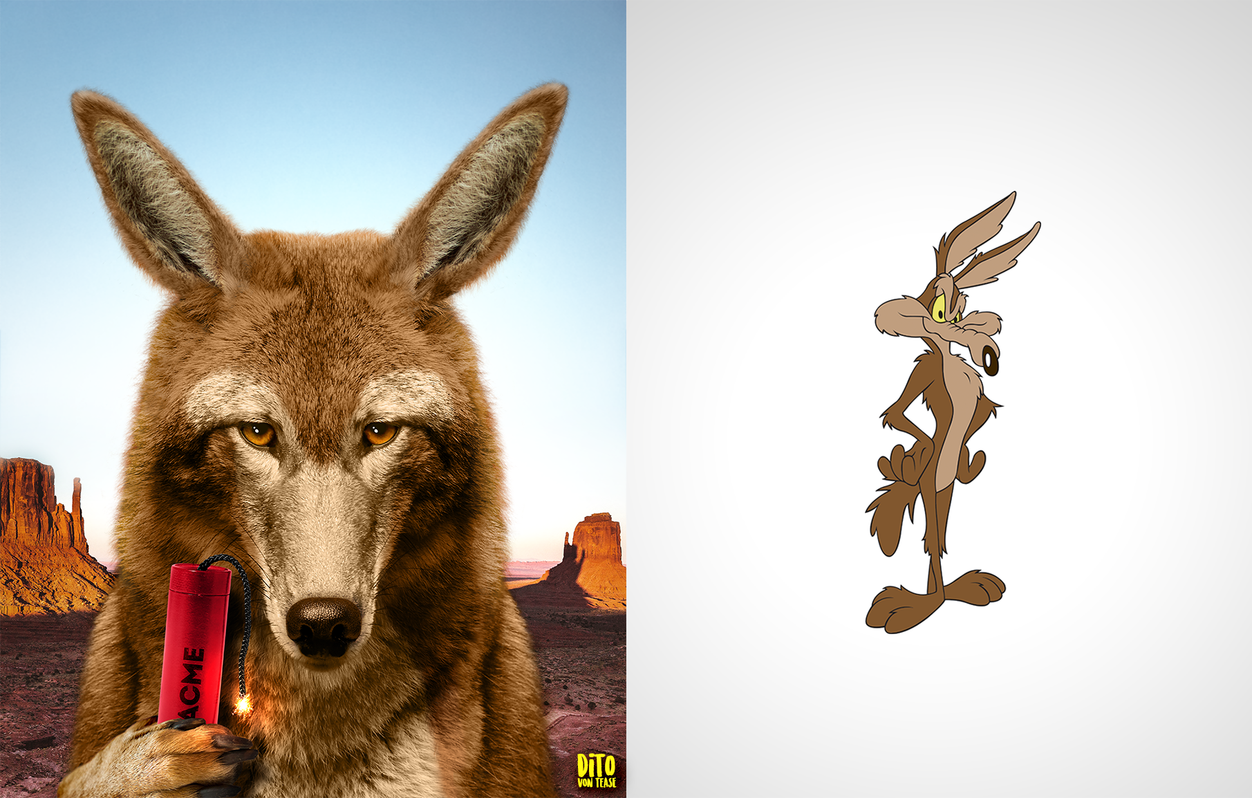 31 - wile coyote.png