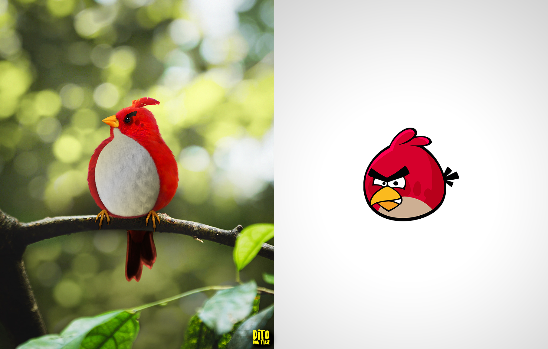 34 - angry birds.png
