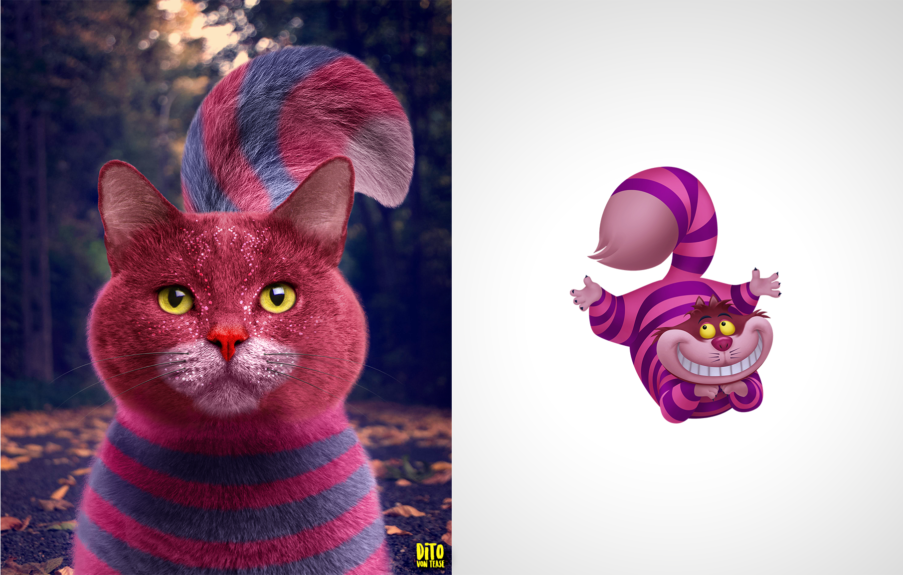 32 - stregatto.png