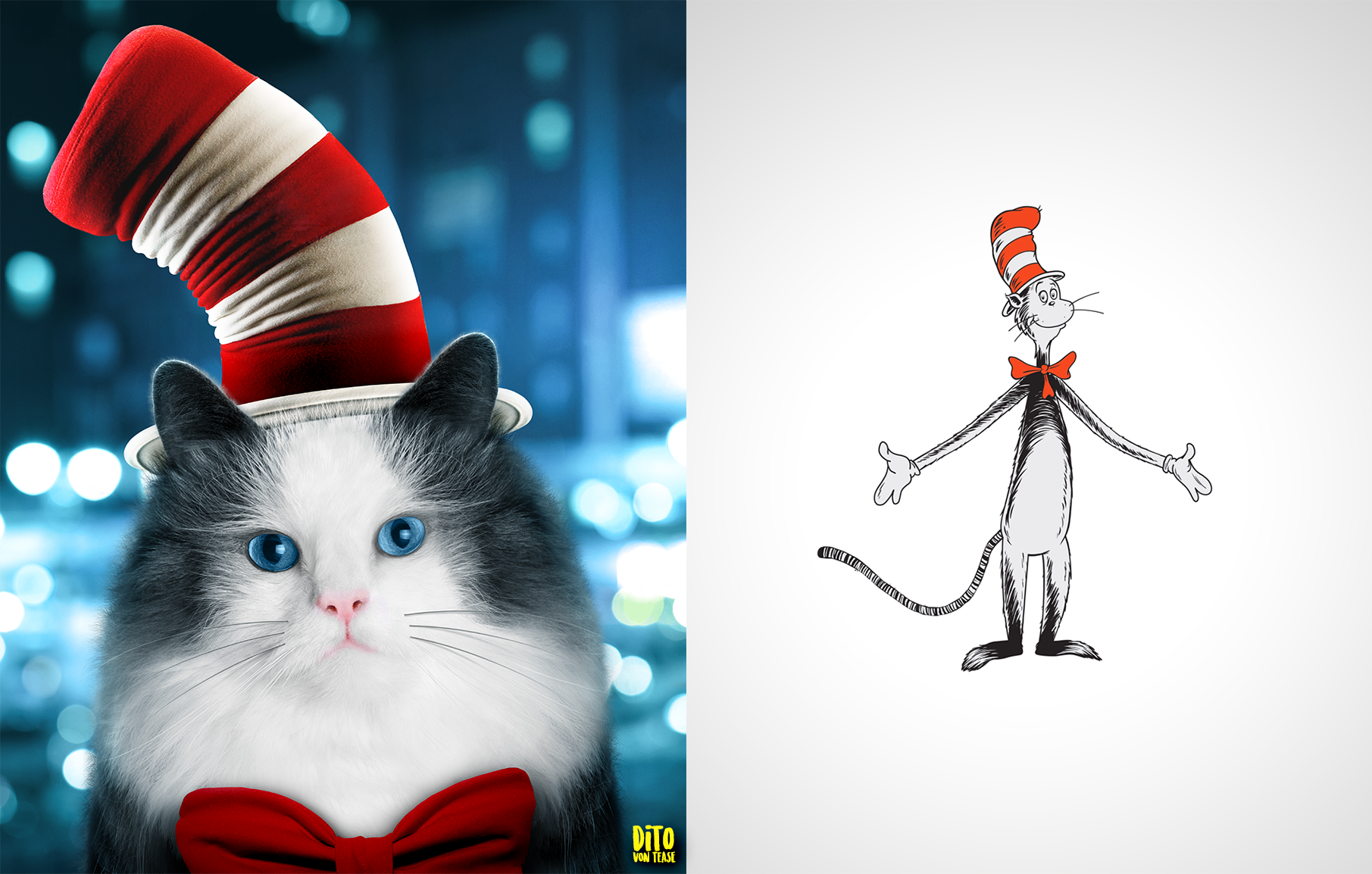 38 - cat in the hat.png