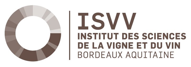 isvv_logo.jpg