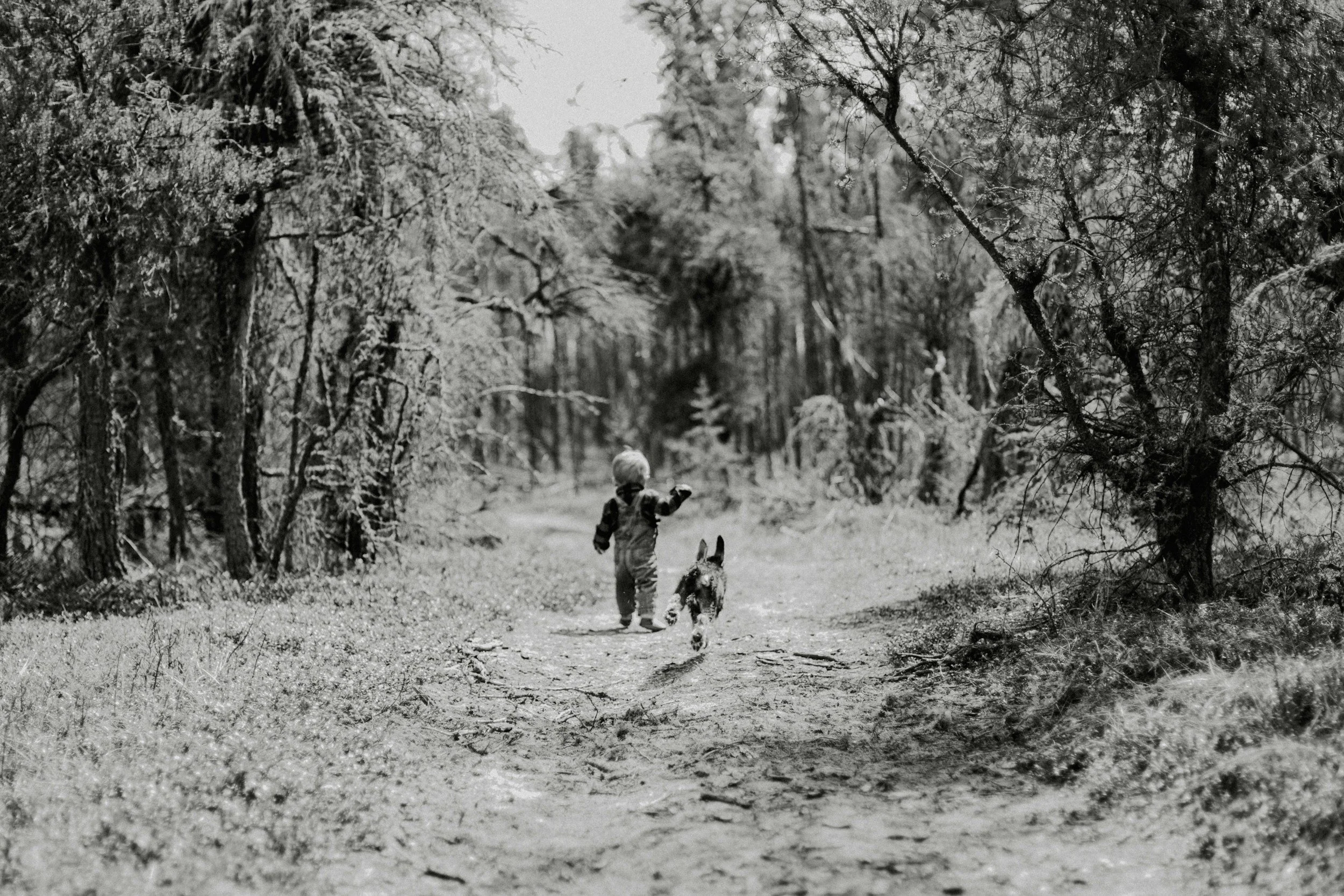 It’s Time we talked about Dogs & Children