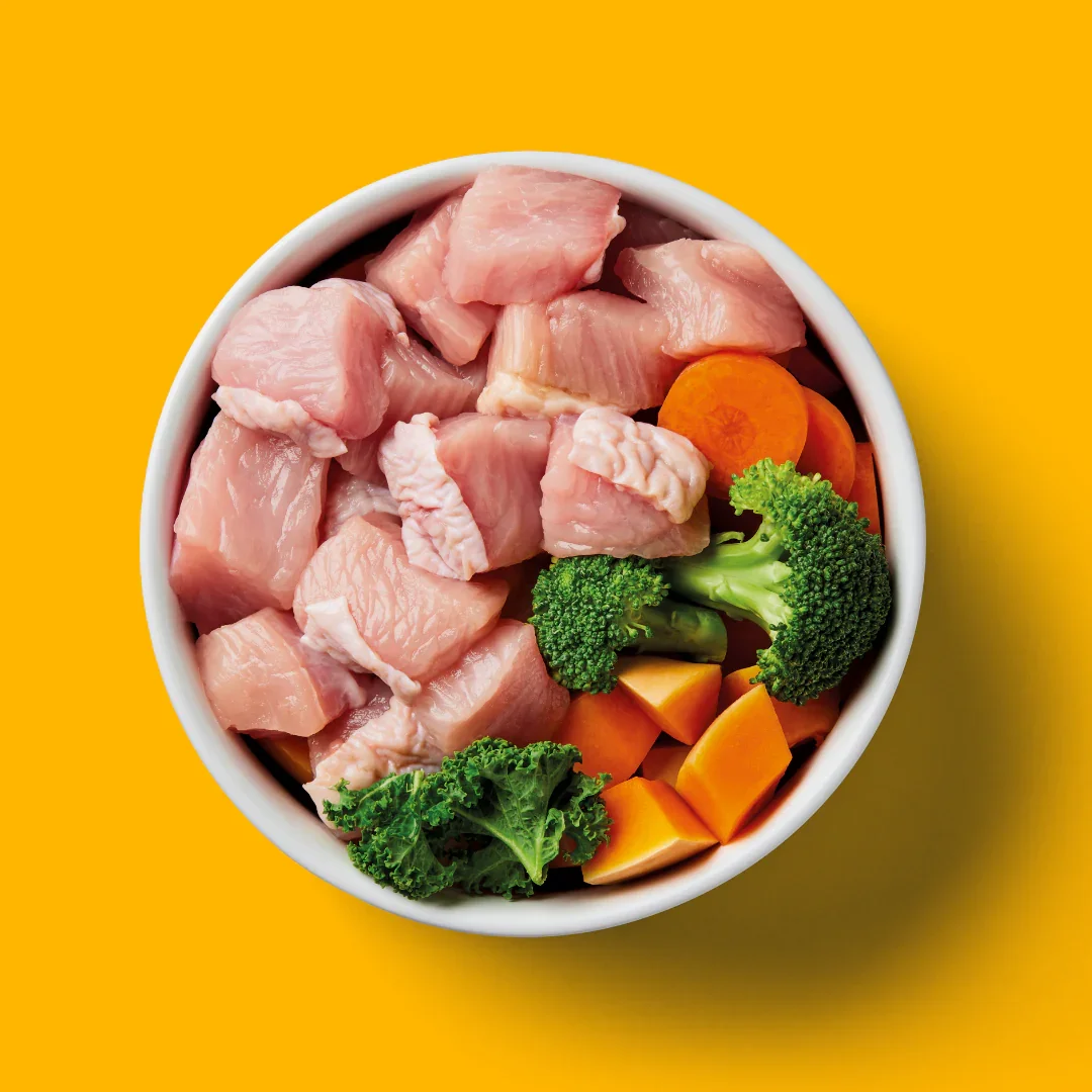 Our Top Food Recommendations for UK Dogs - the 2026 edition!