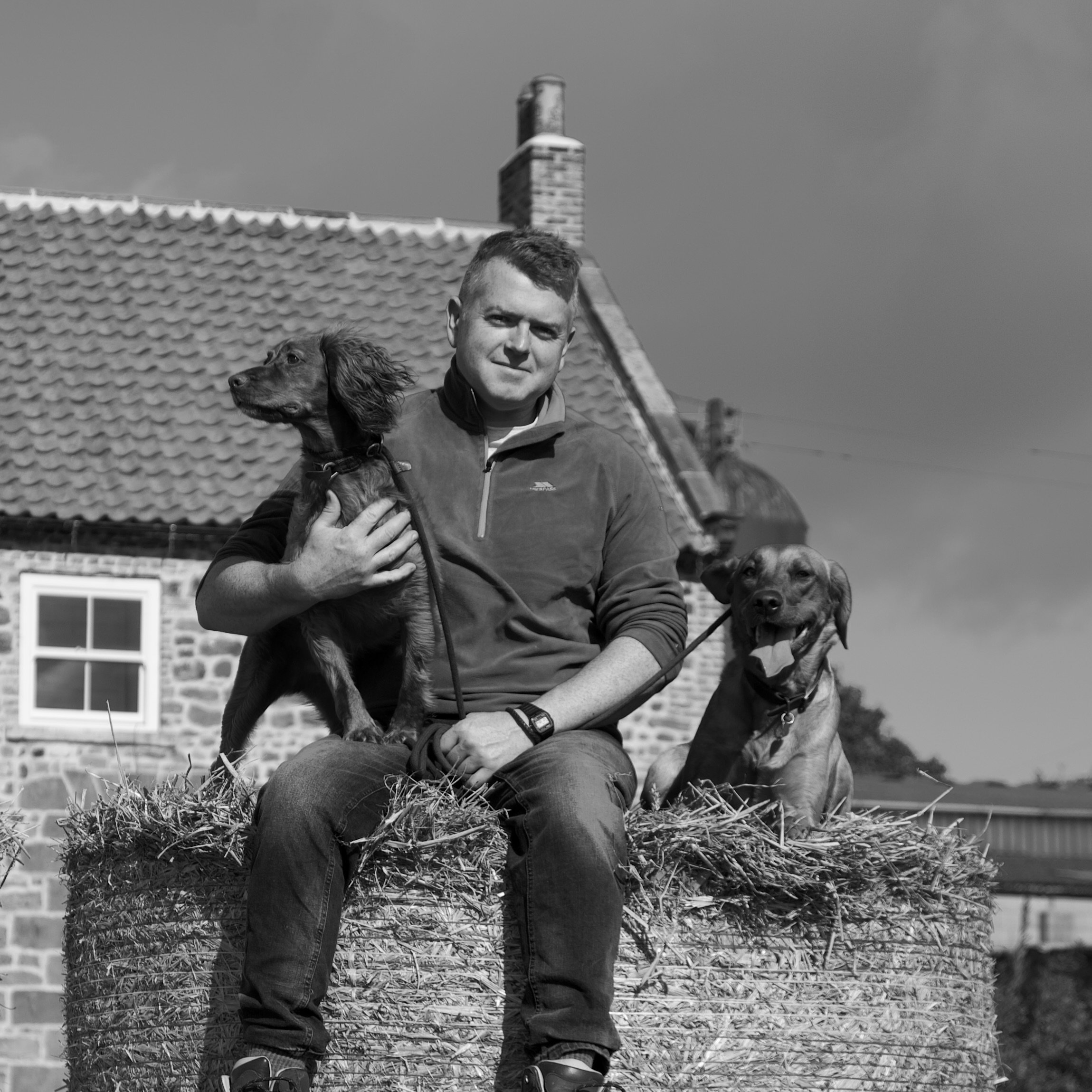Specialist Dog Behaviour Services The Dog s Way Relationship