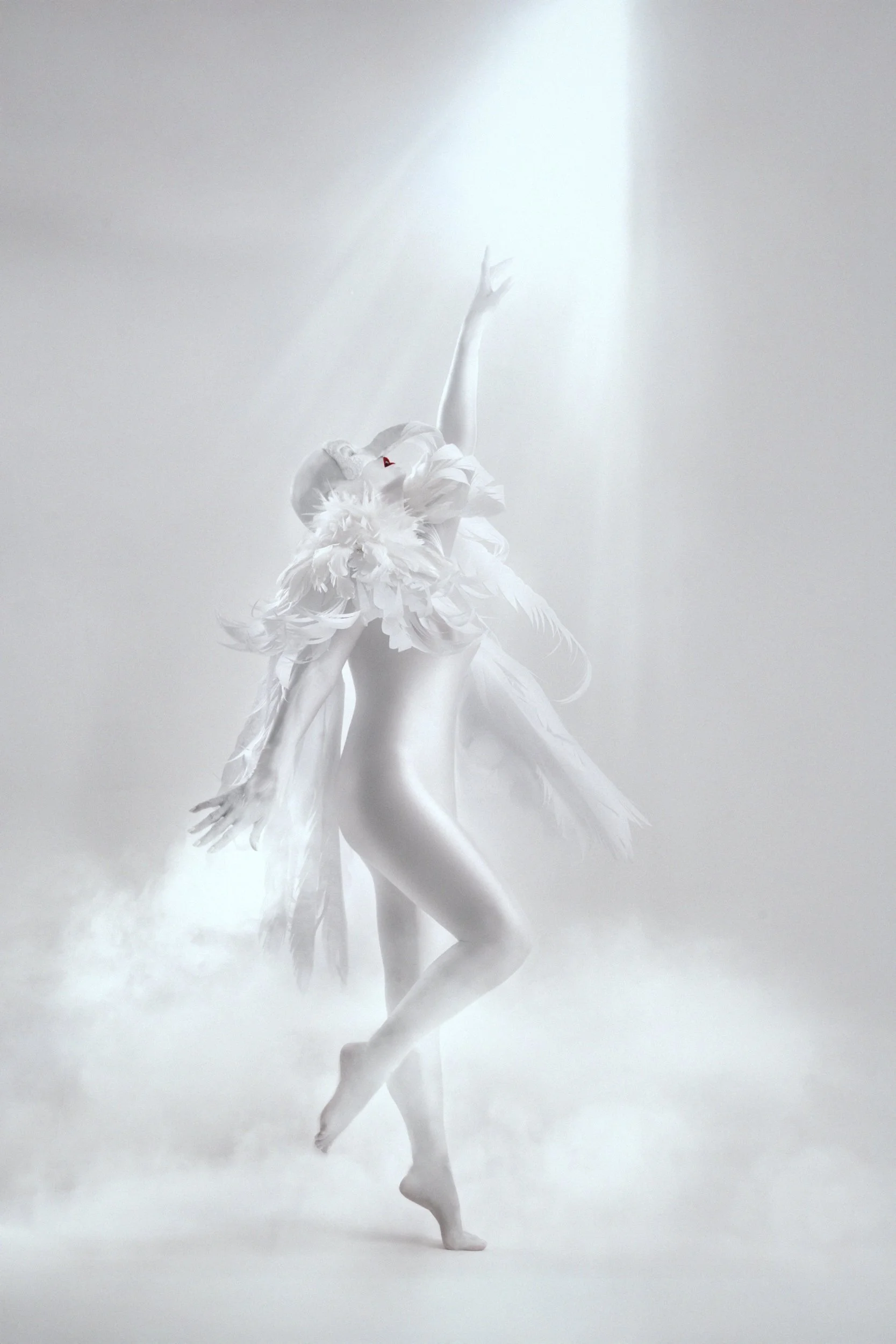 harpy-geran-raath-69be5df75b1ae.jpg