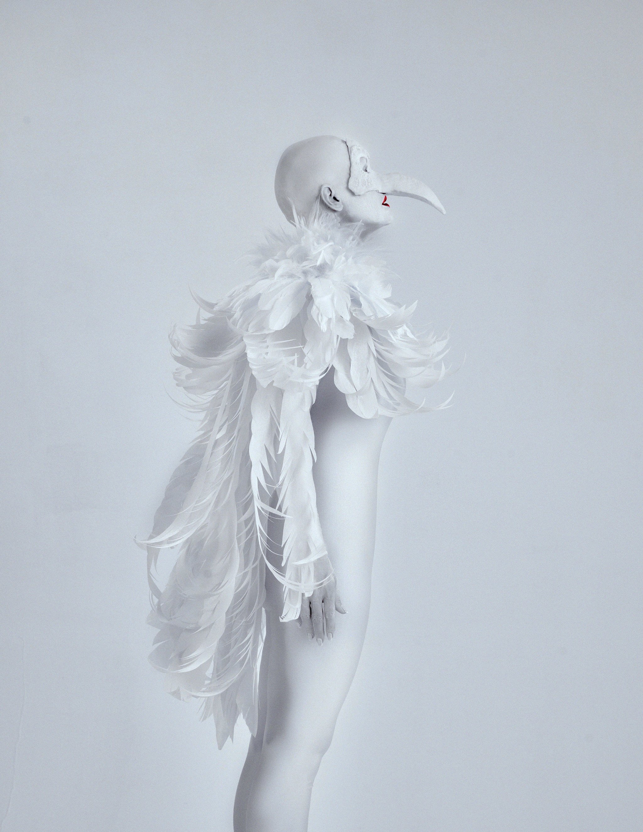 harpy-2-geran-raath-69be5df742890.jpg