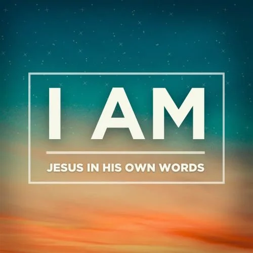 John 10:1-30 episode artwork