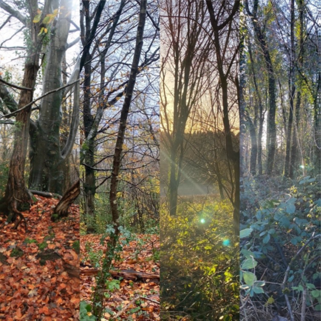 LANDSCAPE HISTORY, LANGUAGE AND MAPS: Kim Norton and Alan Bowring IN CONVERSATION EVENT