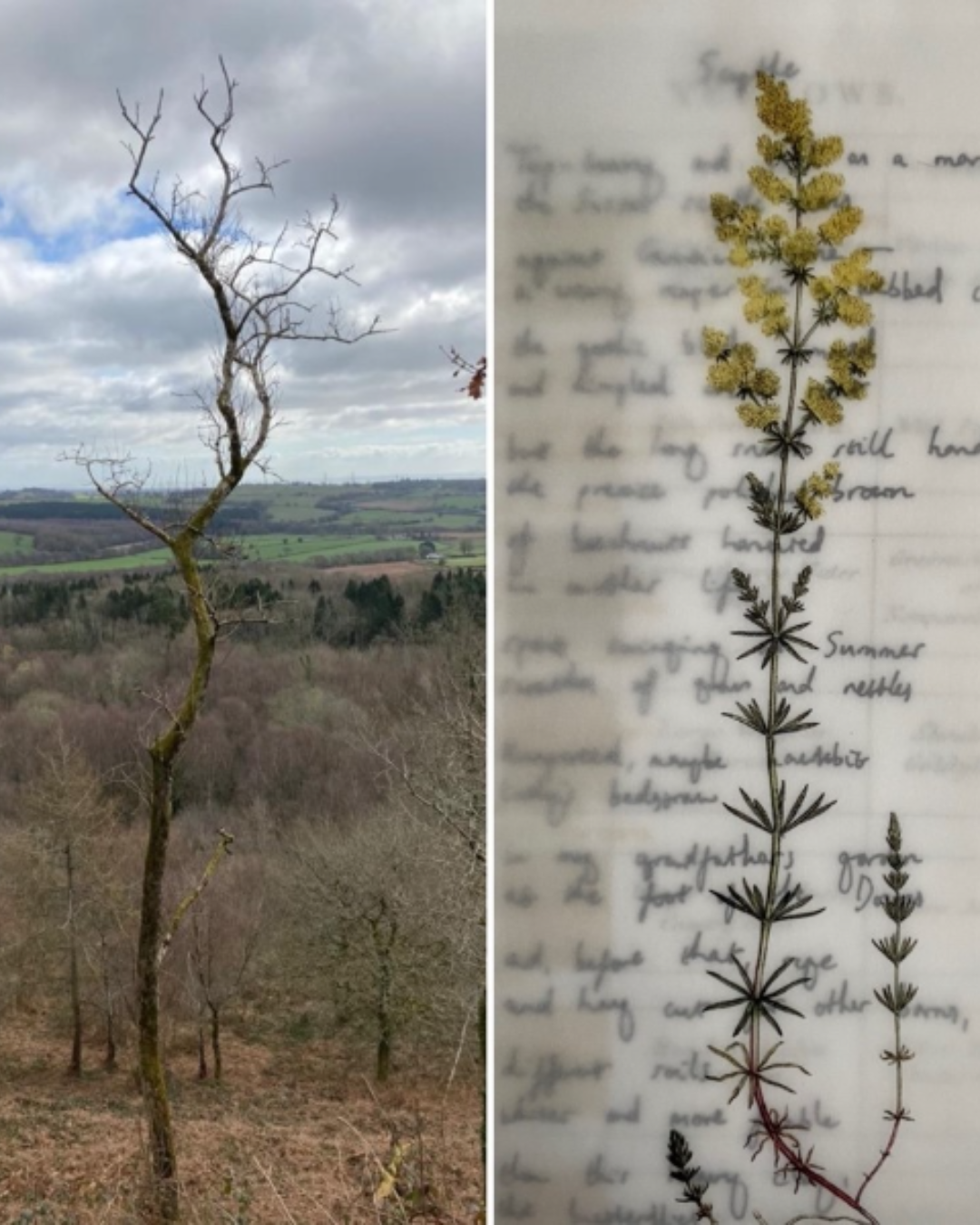 ‘Serendipitous Moments’: Mewn Sgwrs | Laura Wainwright a Carwyn Graves (Dan arweiniad Kim Norton)