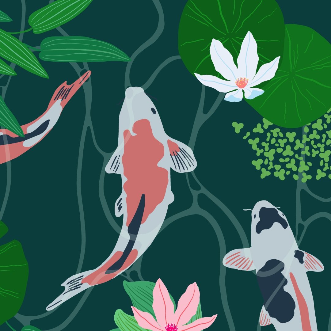 koi.jpg