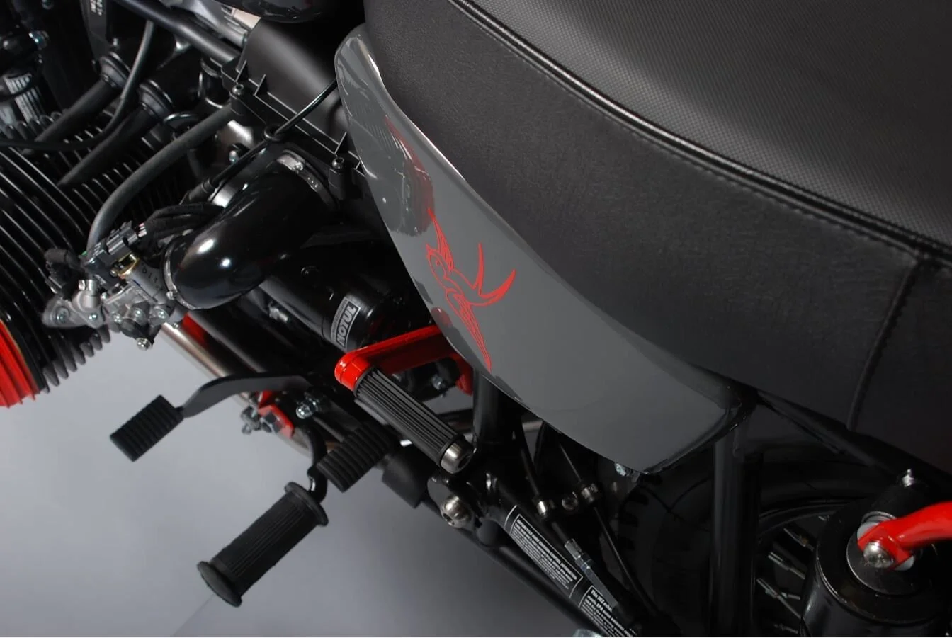 Ural Red Sparrow Accent 1.JPG